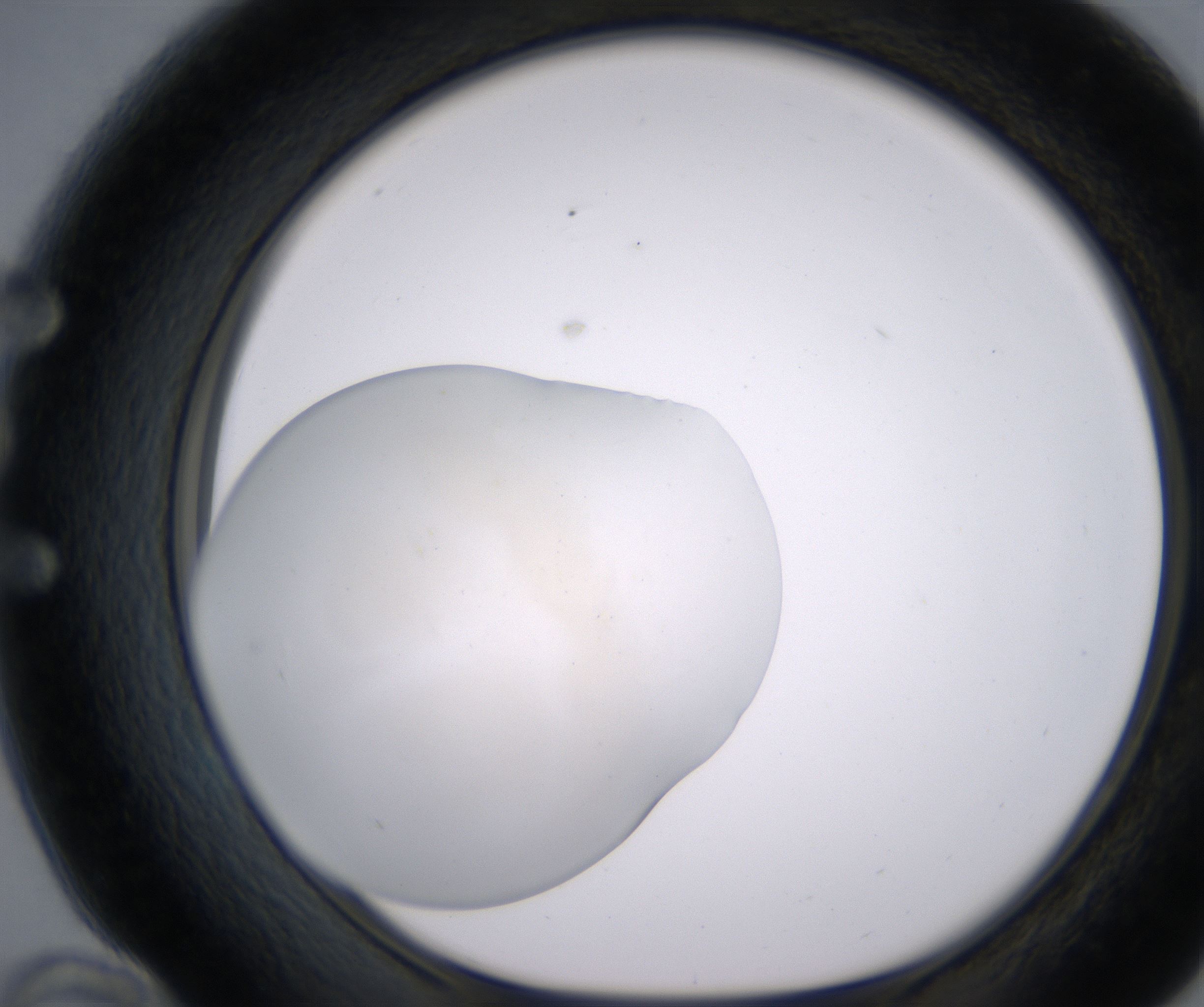 E10_HighResolution_Clear_1.jpg