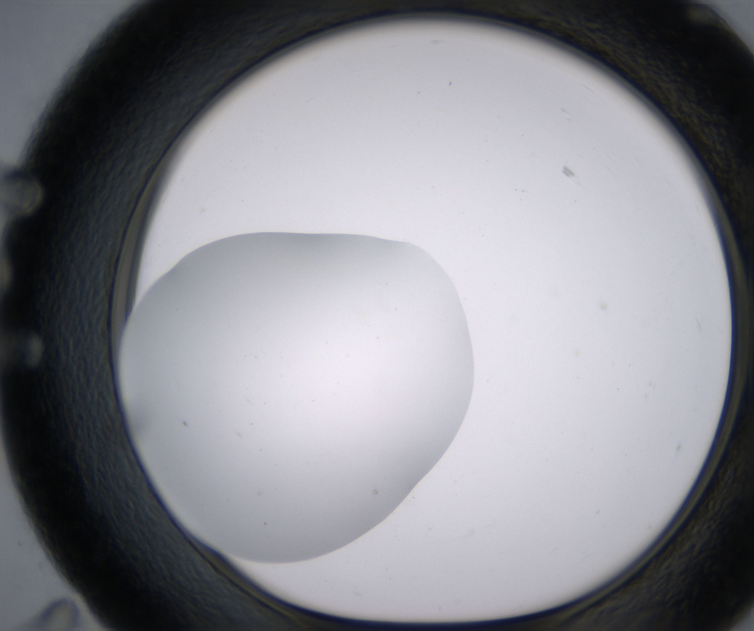 E11_HighResolution_Clear_1.jpg