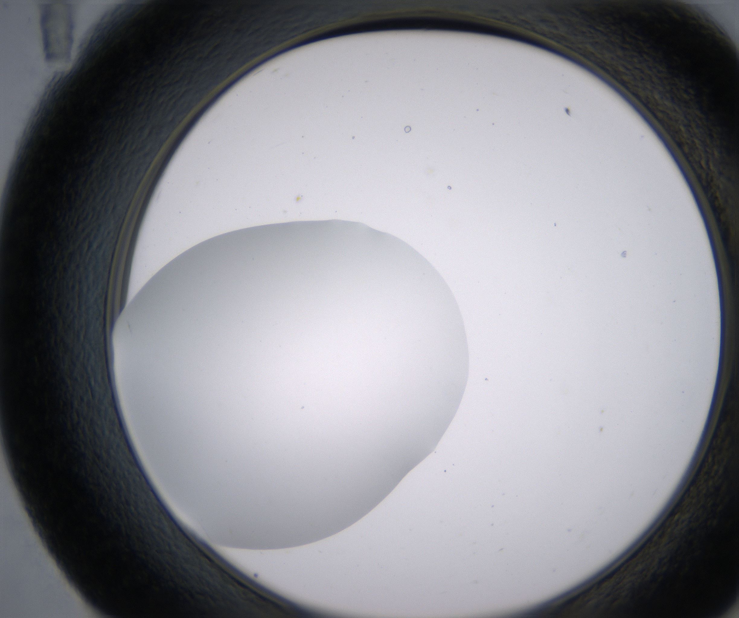 E11_HighResolution_Clear_2.jpg