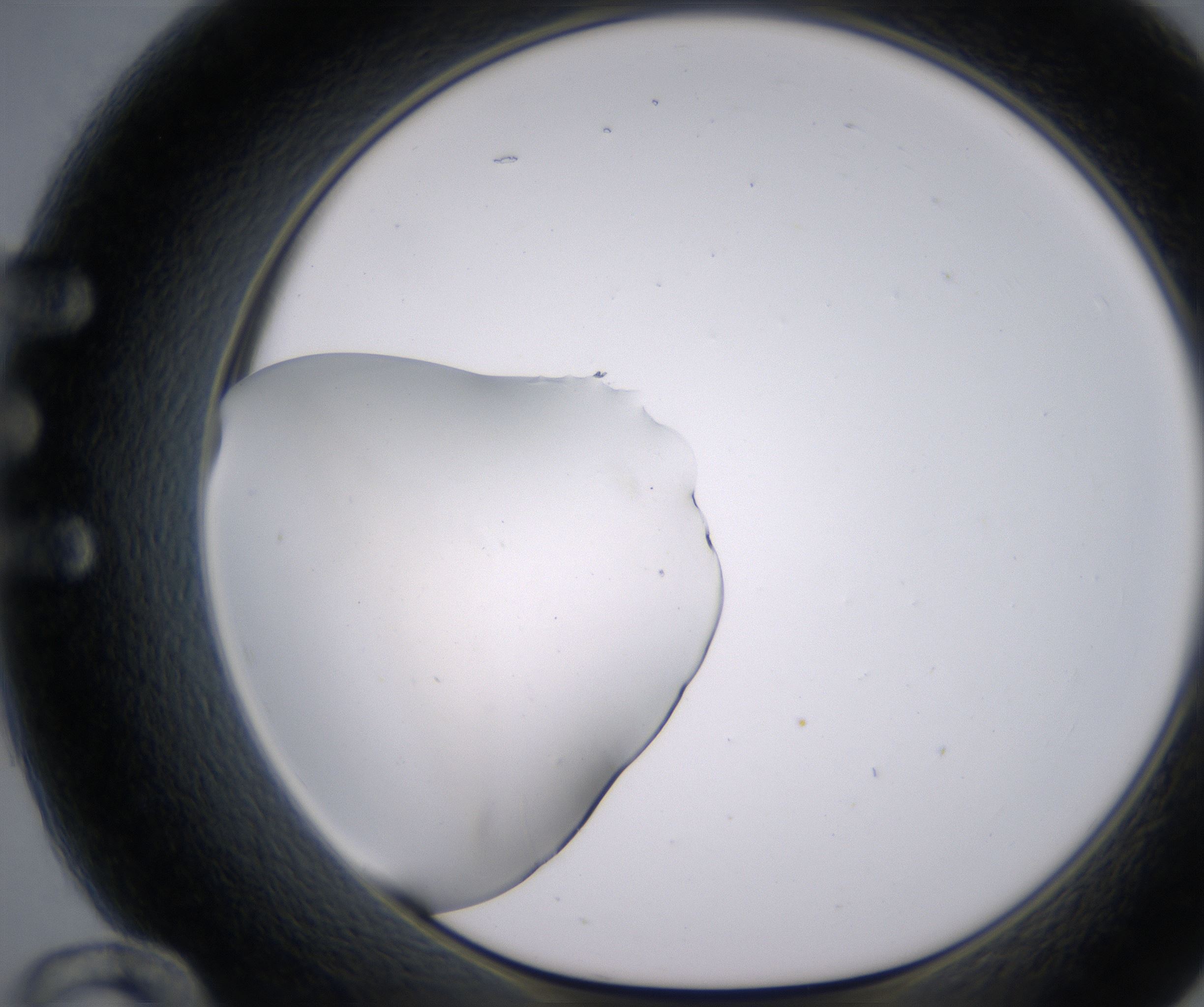 E12_HighResolution_Clear_1.jpg