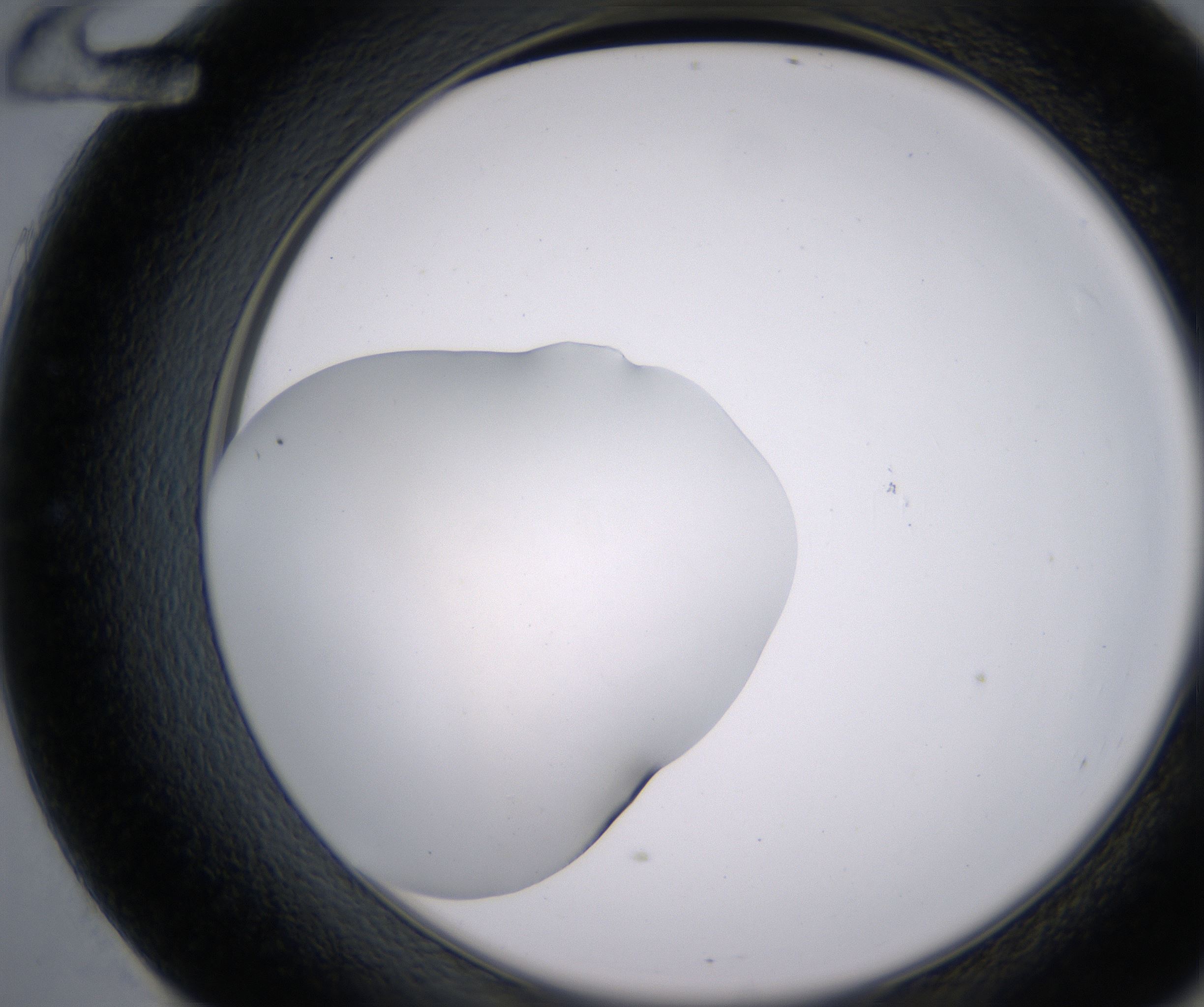 E12_HighResolution_Clear_2.jpg