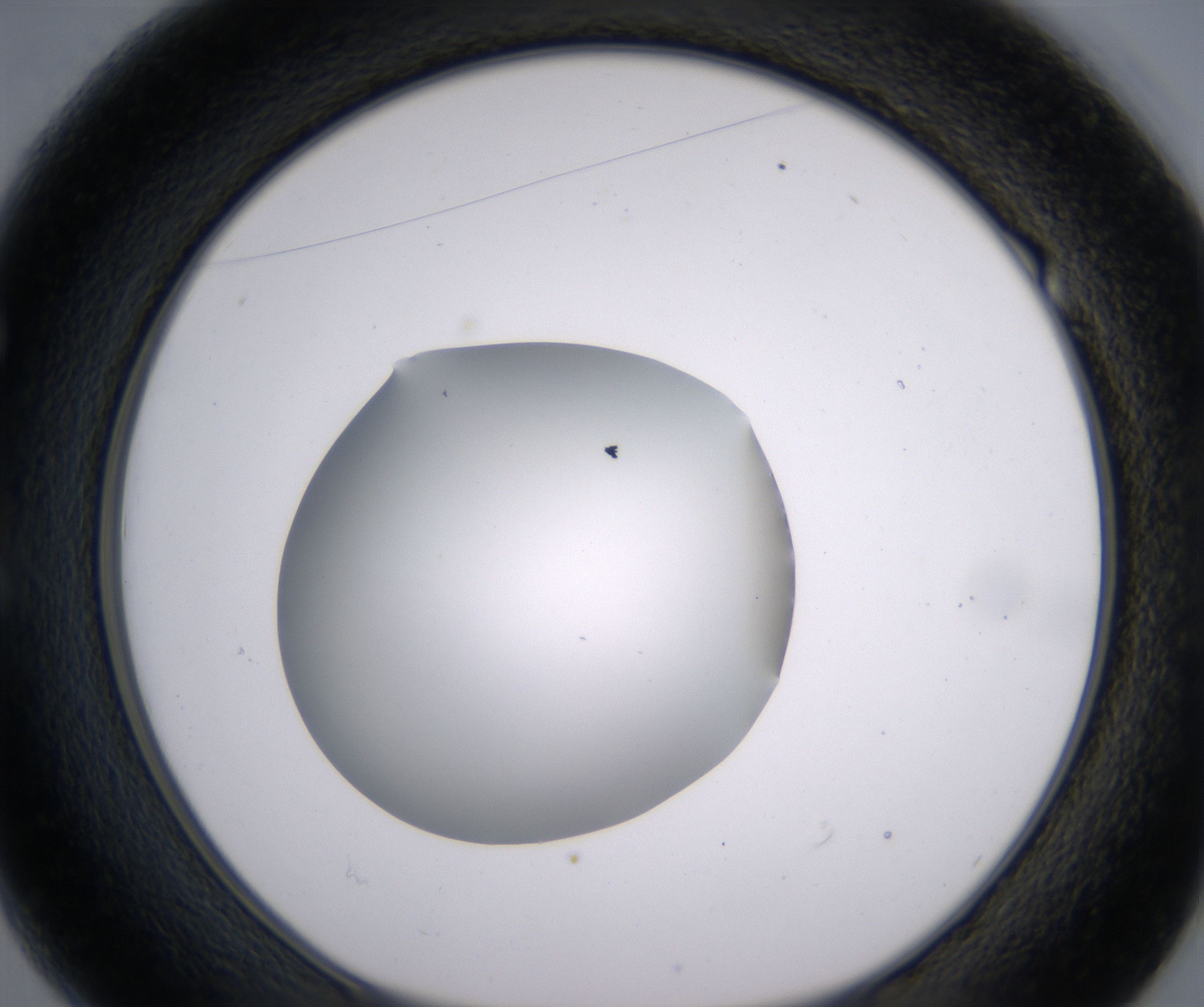 E1_HighResolution_Clear_1.jpg