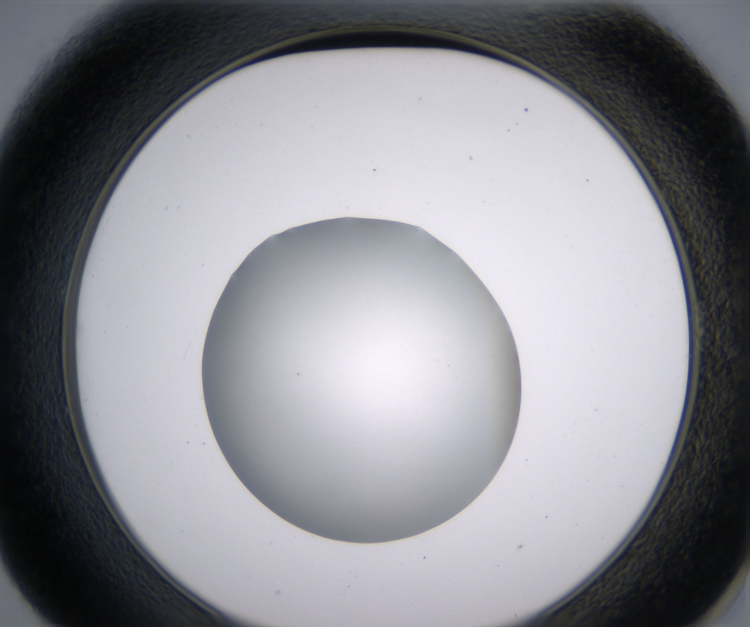 E1_HighResolution_Clear_2.jpg
