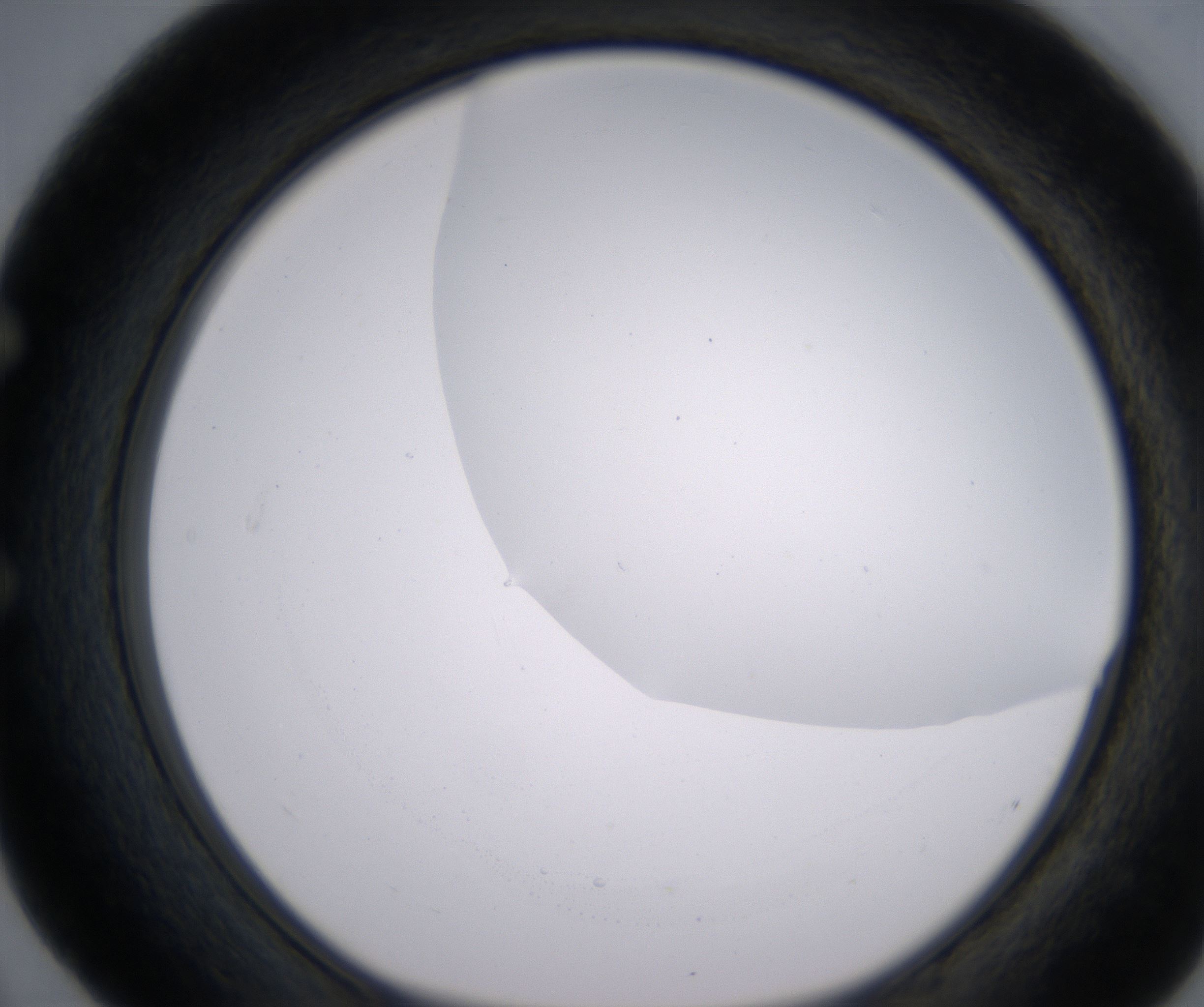 E4_HighResolution_Clear_1.jpg