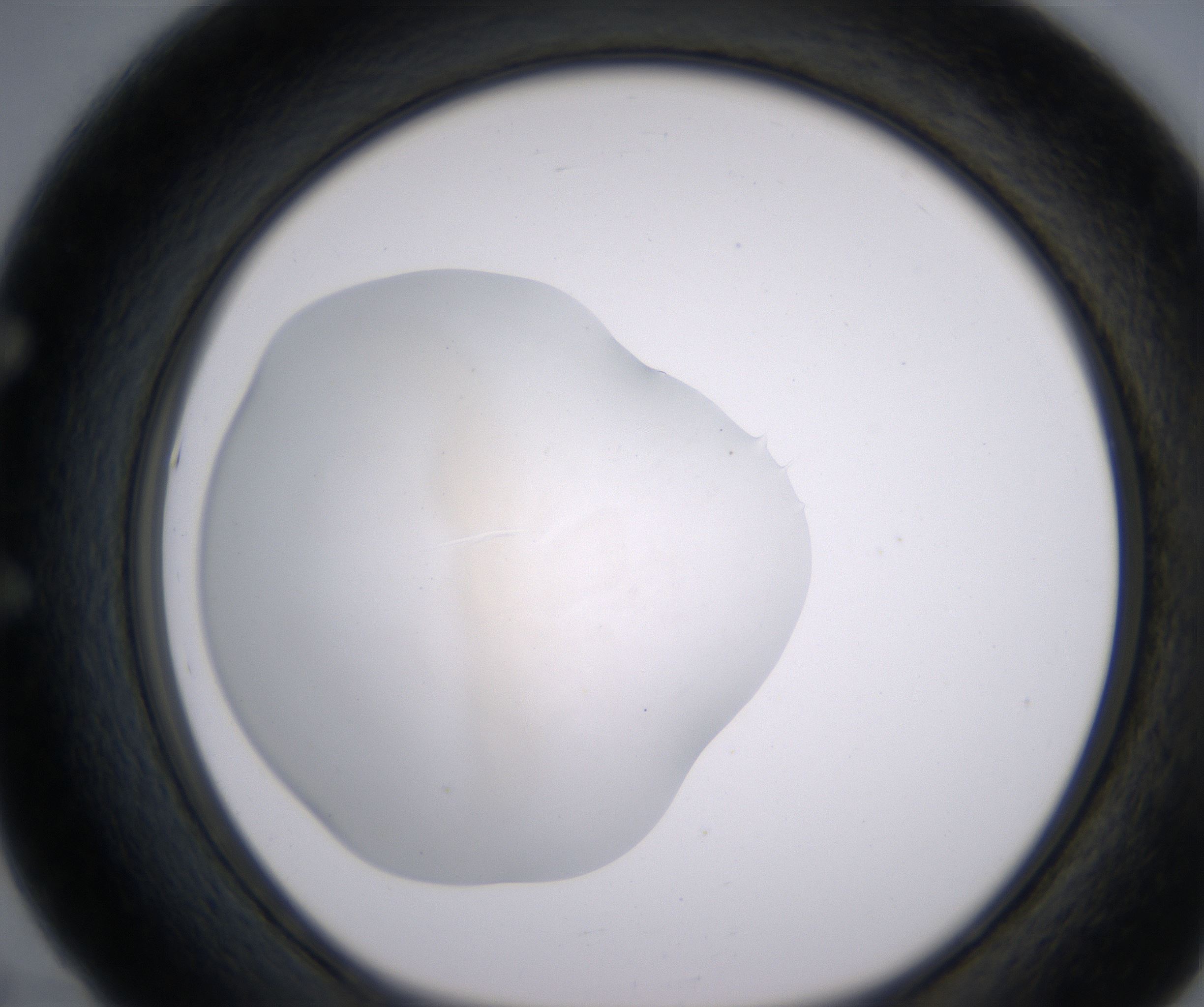 E5_HighResolution_Clear_1.jpg