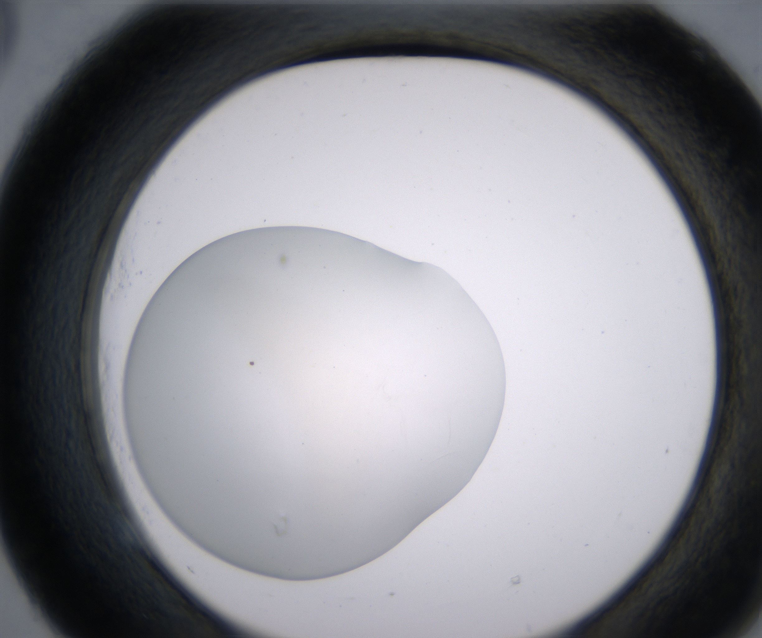 E5_HighResolution_Clear_2.jpg
