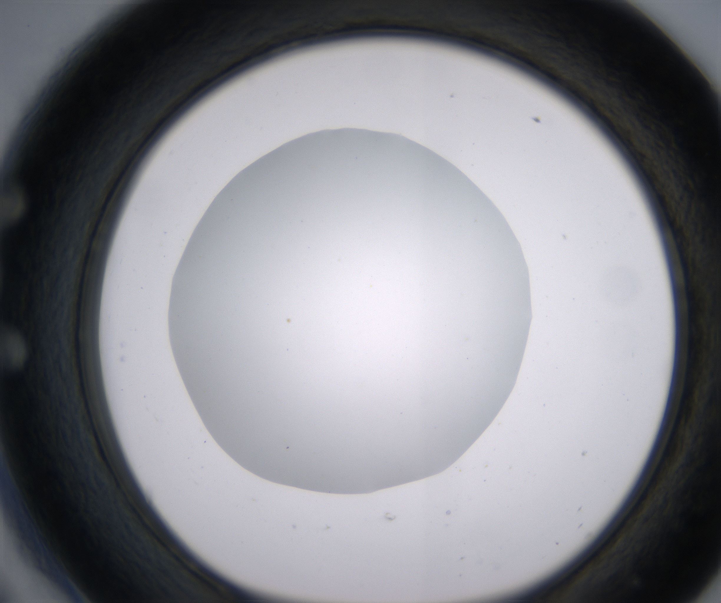 E6_HighResolution_Clear_1.jpg