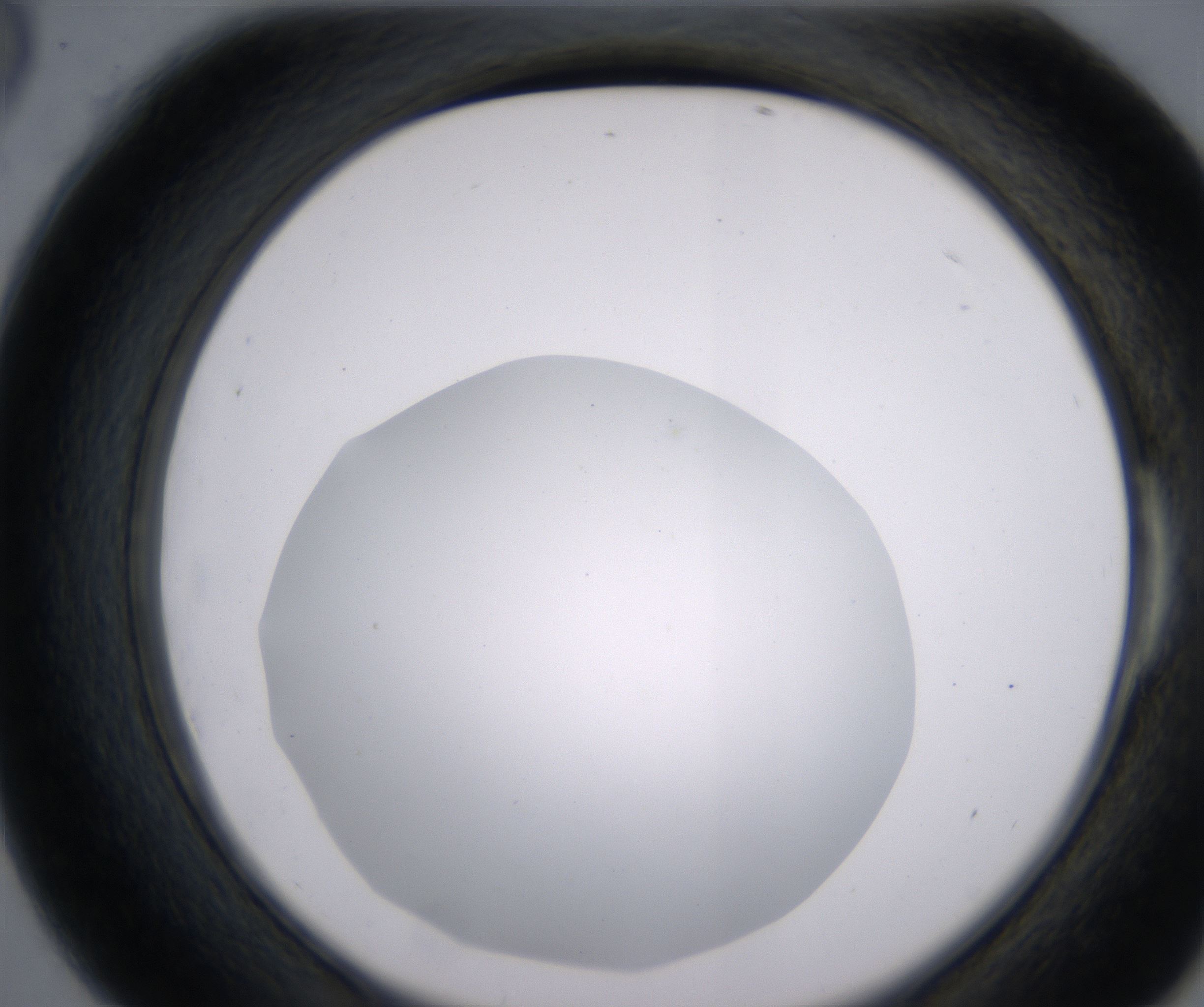 E6_HighResolution_Clear_2.jpg
