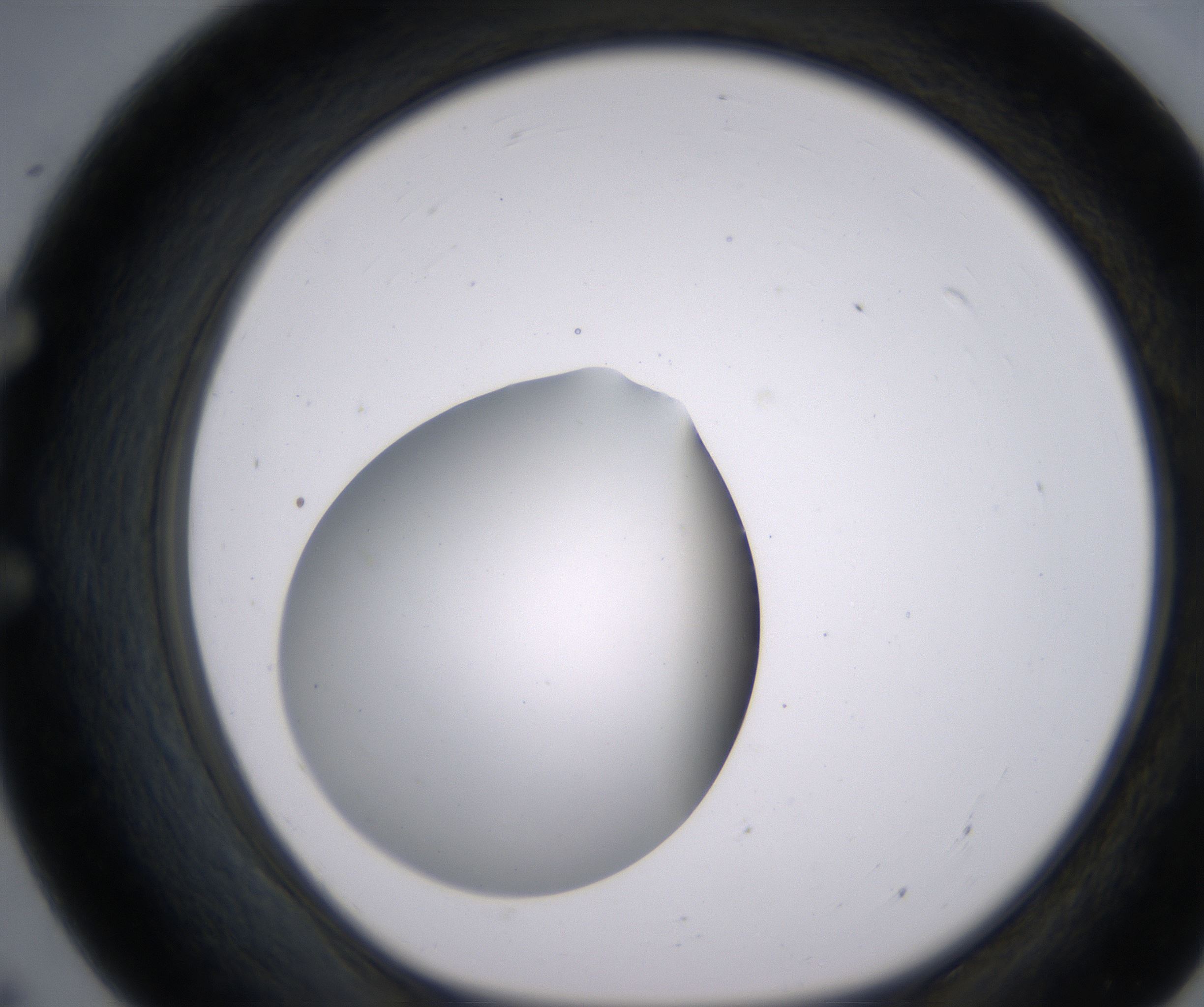 E7_HighResolution_Clear_1.jpg