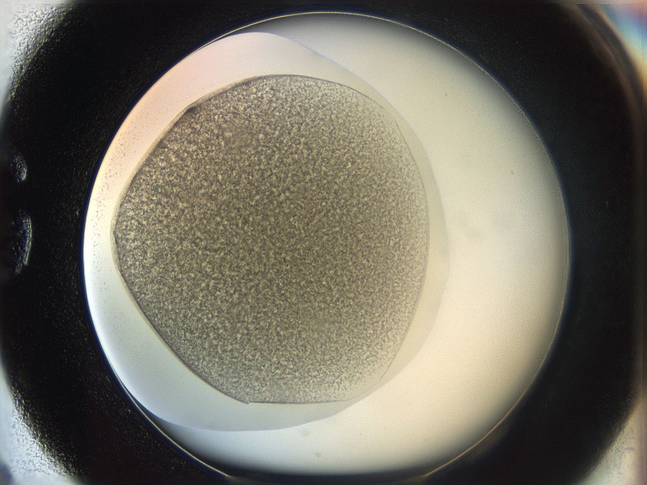 05k0_G4_ImagerDefaults_3.jpg