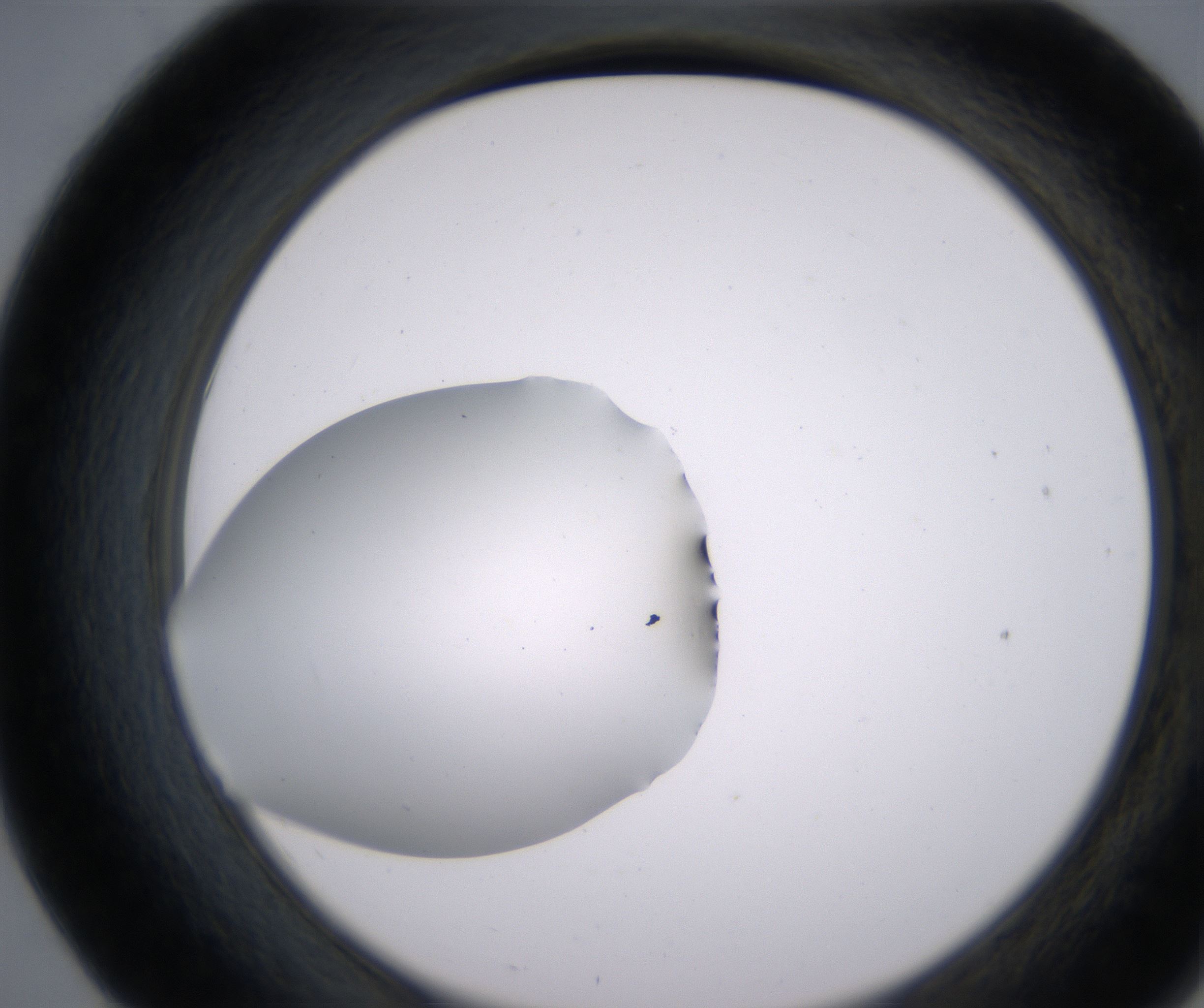 E7_HighResolution_Clear_2.jpg