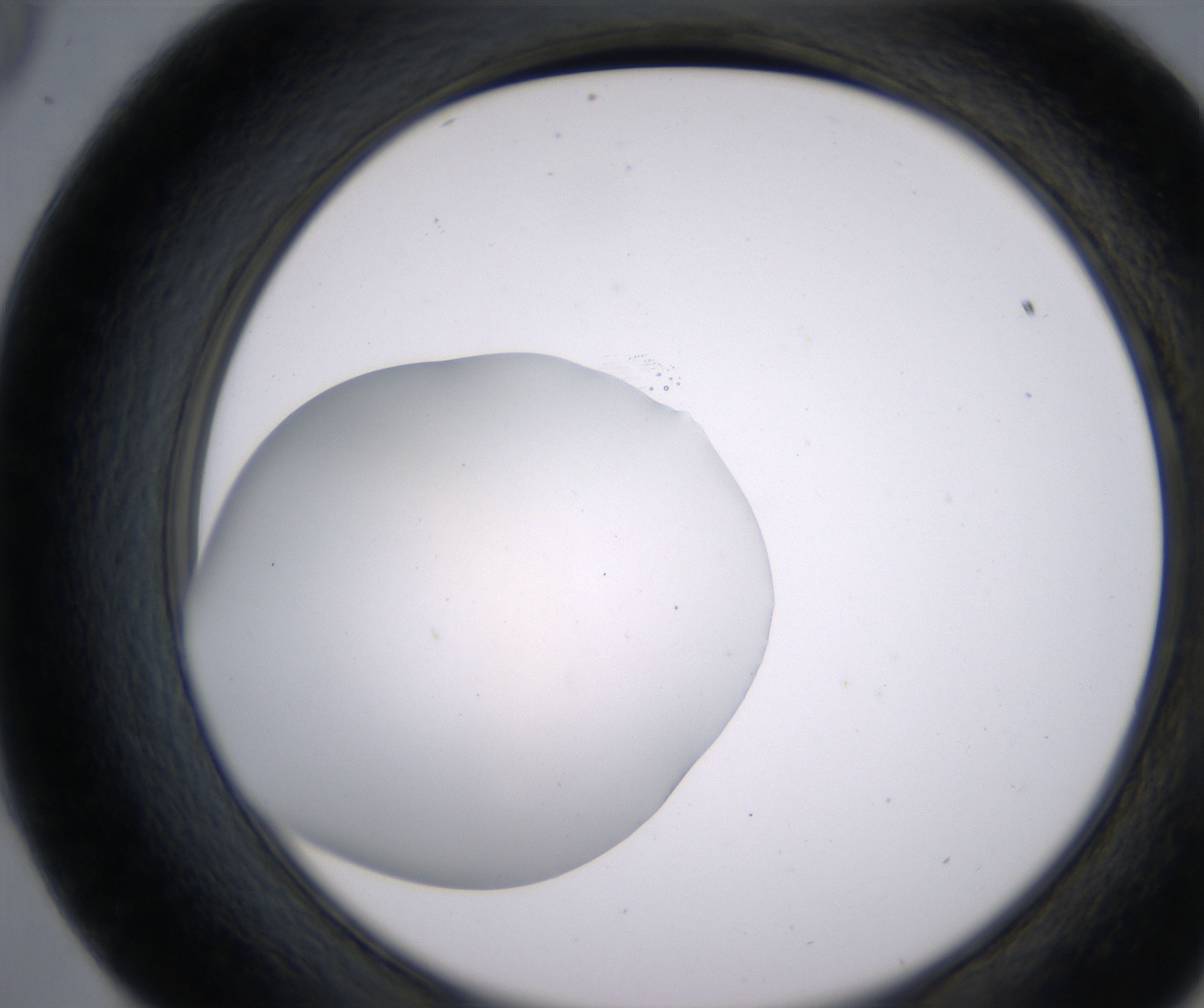 E9_HighResolution_Clear_2.jpg