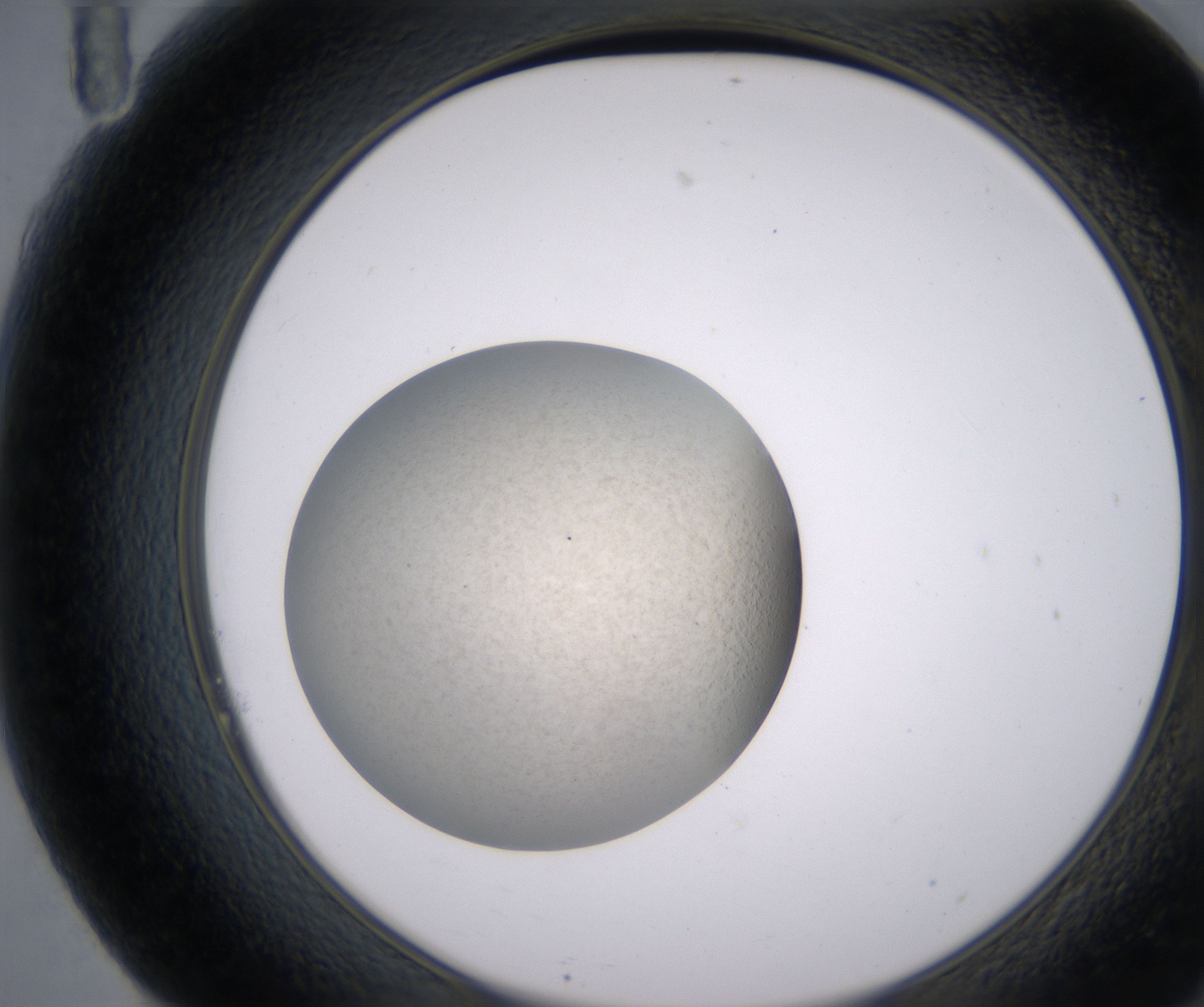 F11_HighResolution_Precipitate_2.jpg