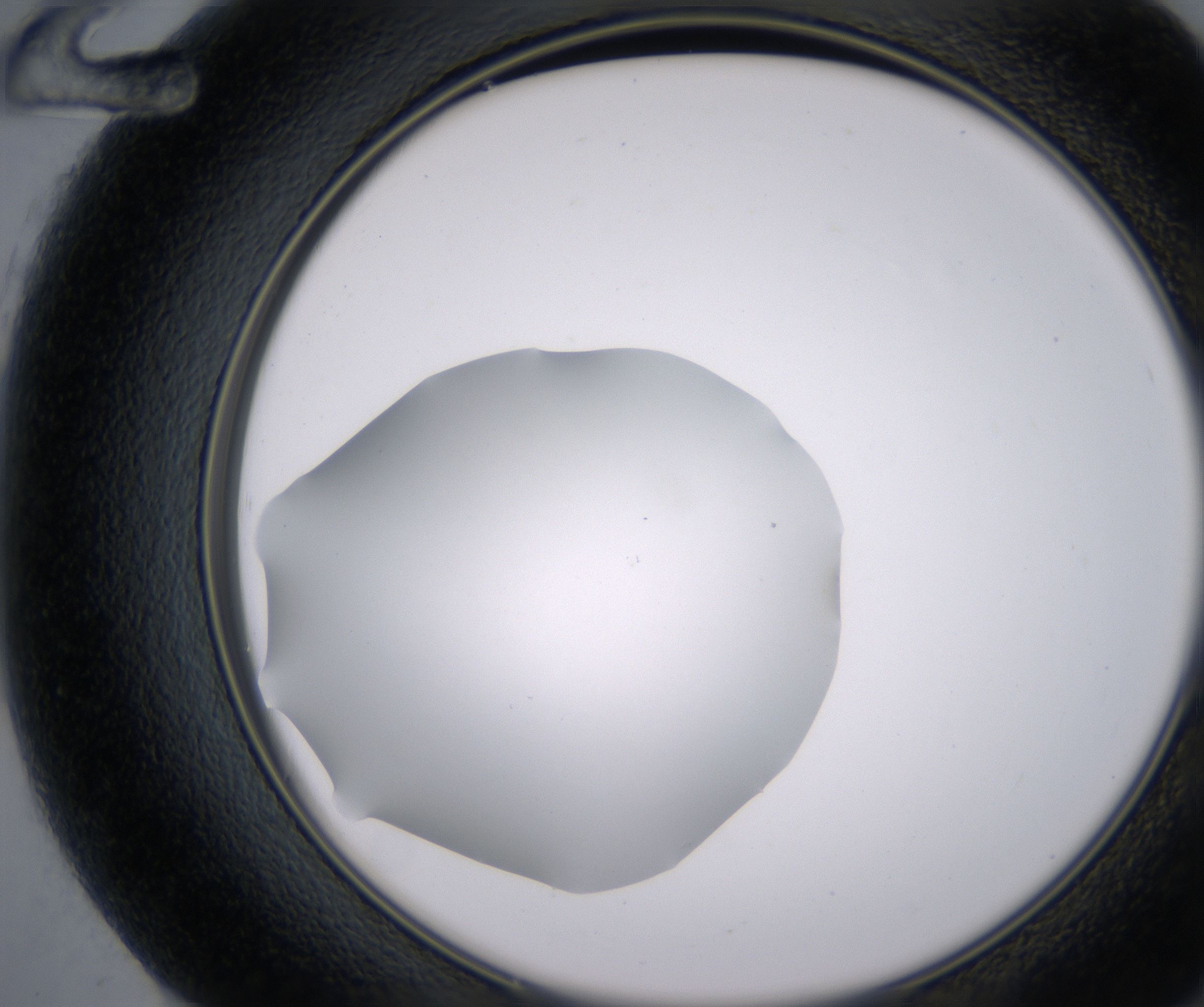 F12_HighResolution_Clear_2.jpg