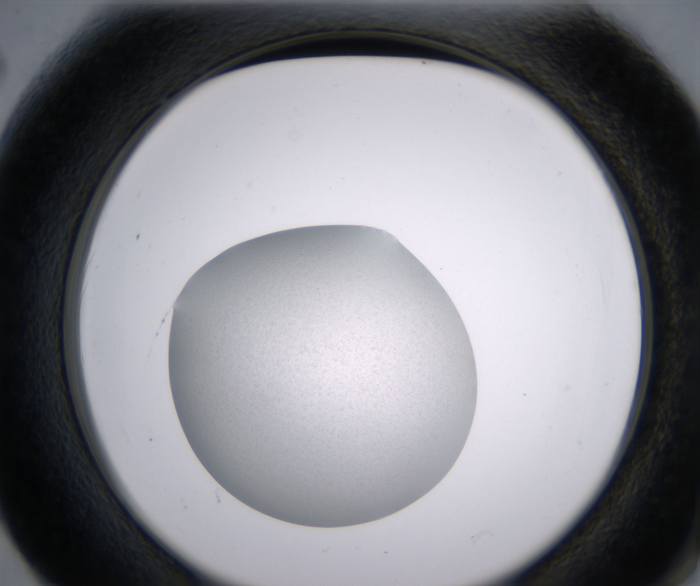 F2_HighResolution_Precipitate_2.jpg