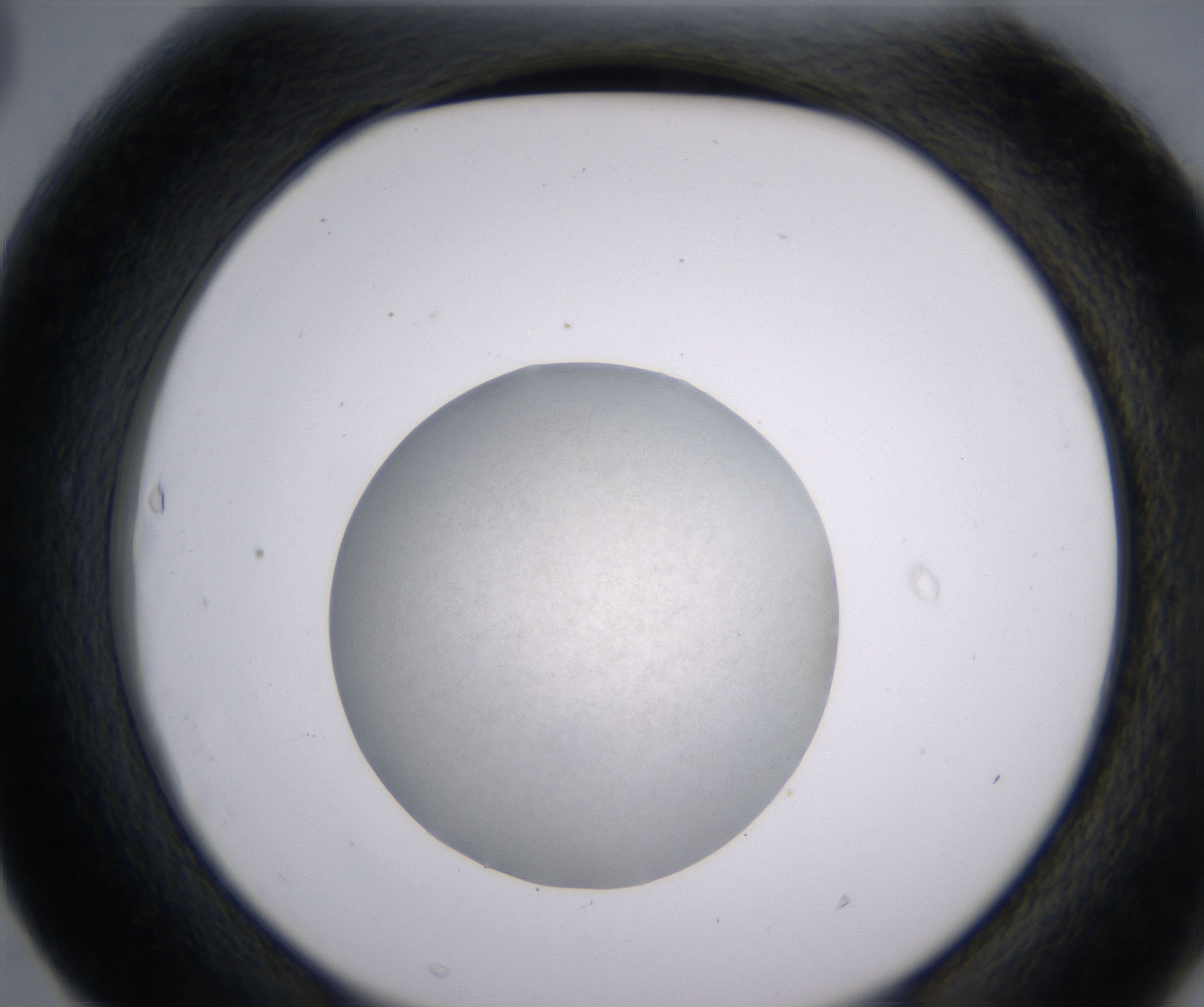 F3_HighResolution_Precipitate_2.jpg