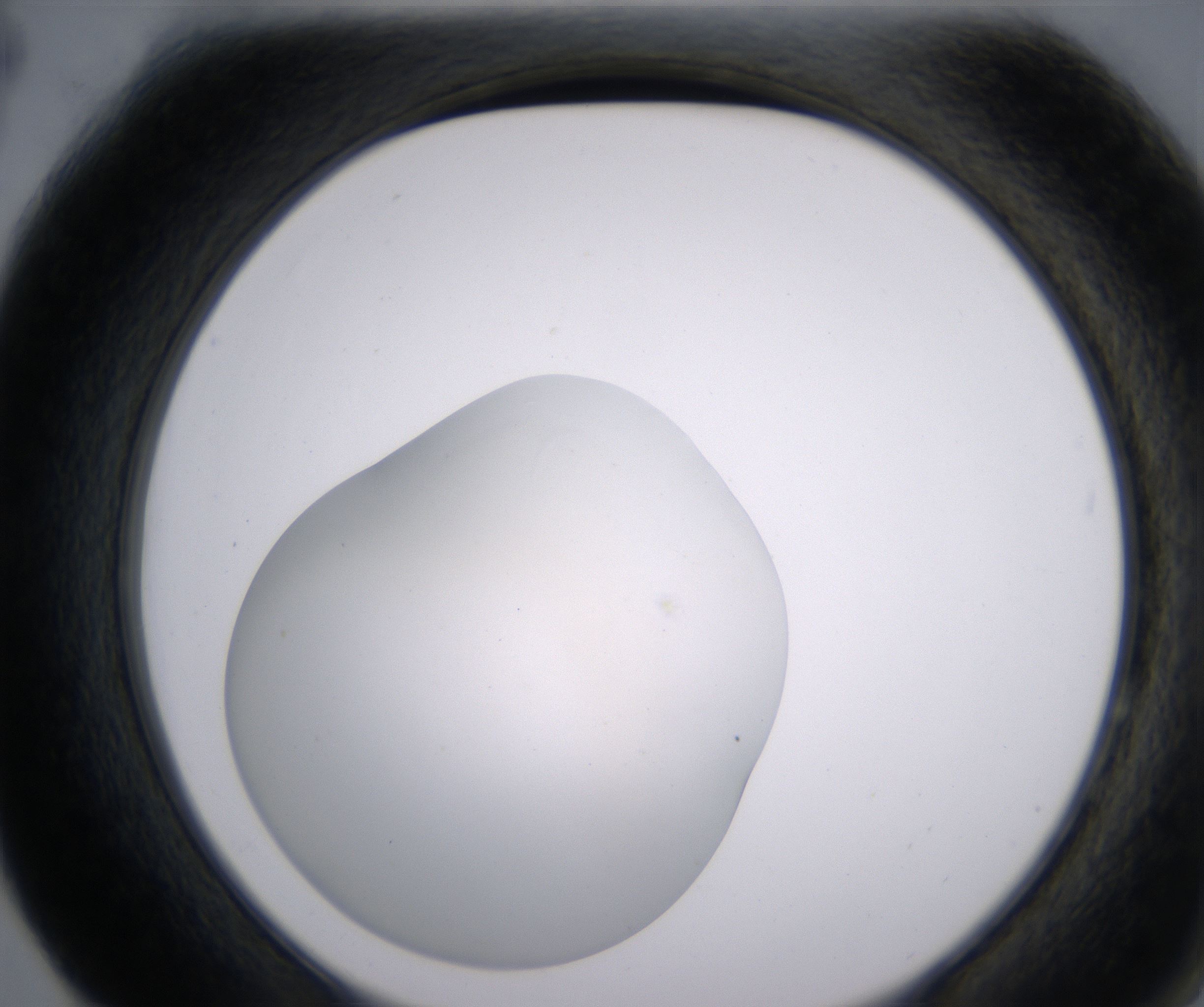 F4_HighResolution_Clear_2.jpg