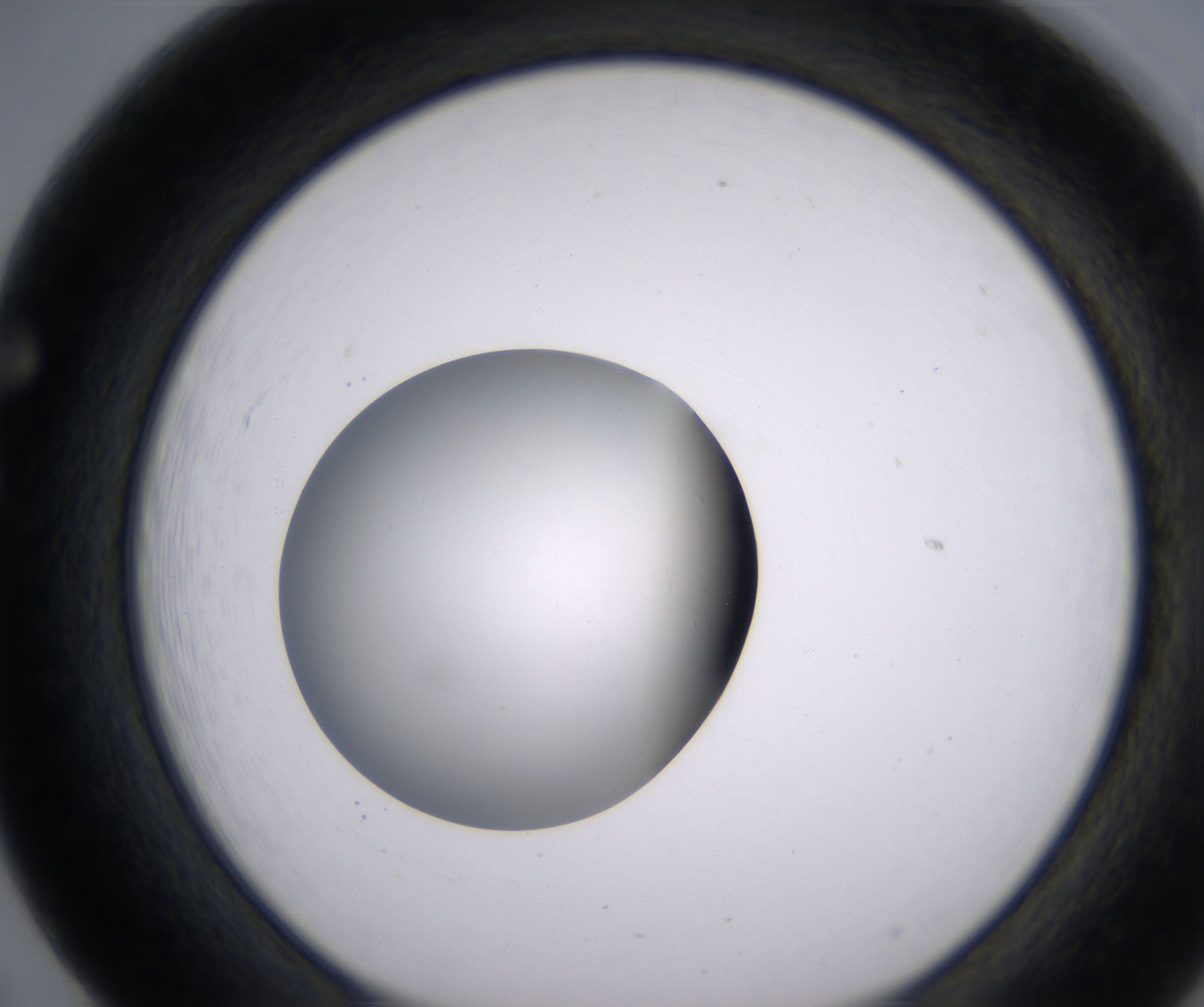 F5_HighResolution_Clear_1.jpg