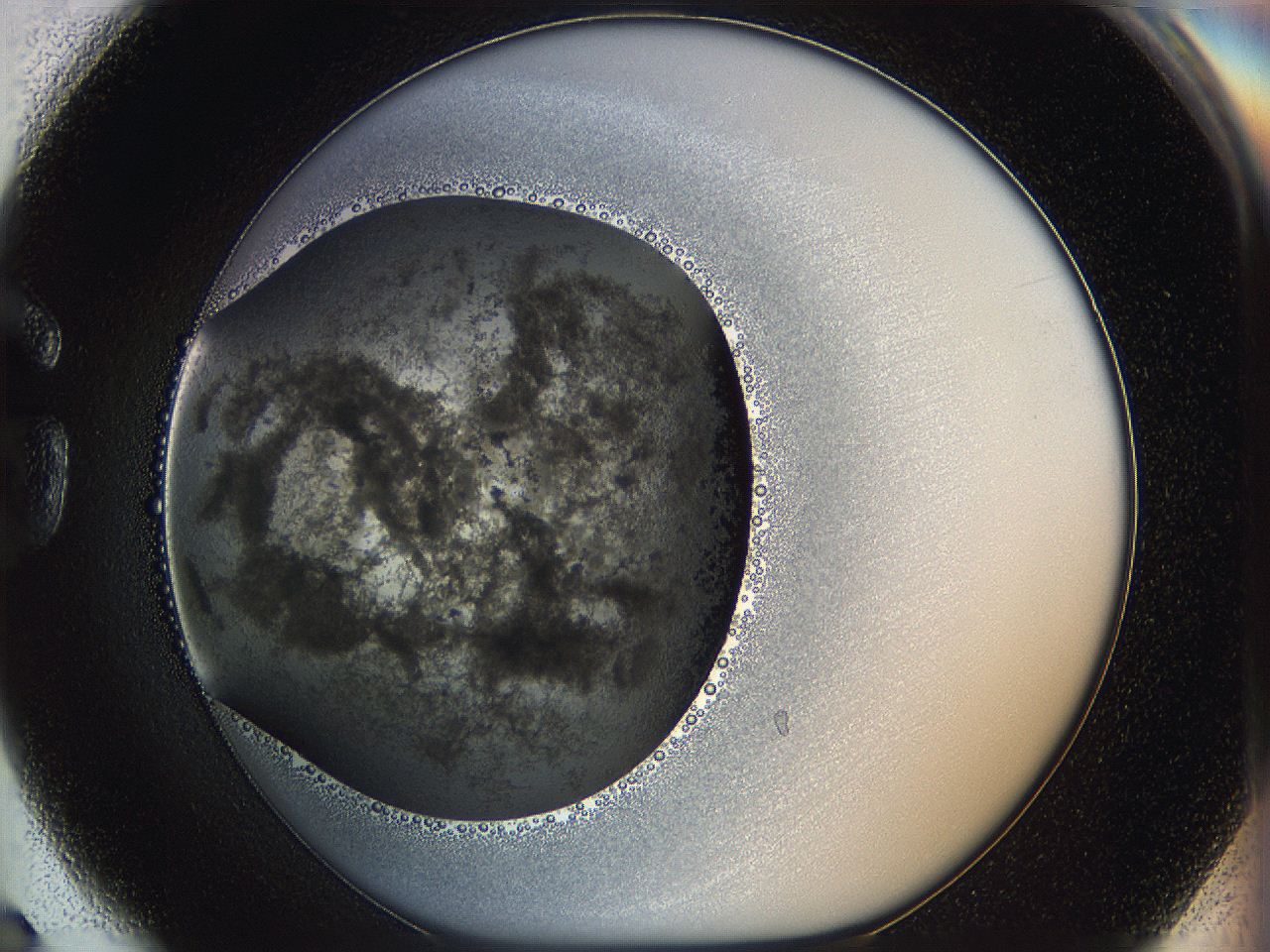 05k0_G6_ImagerDefaults_3.jpg