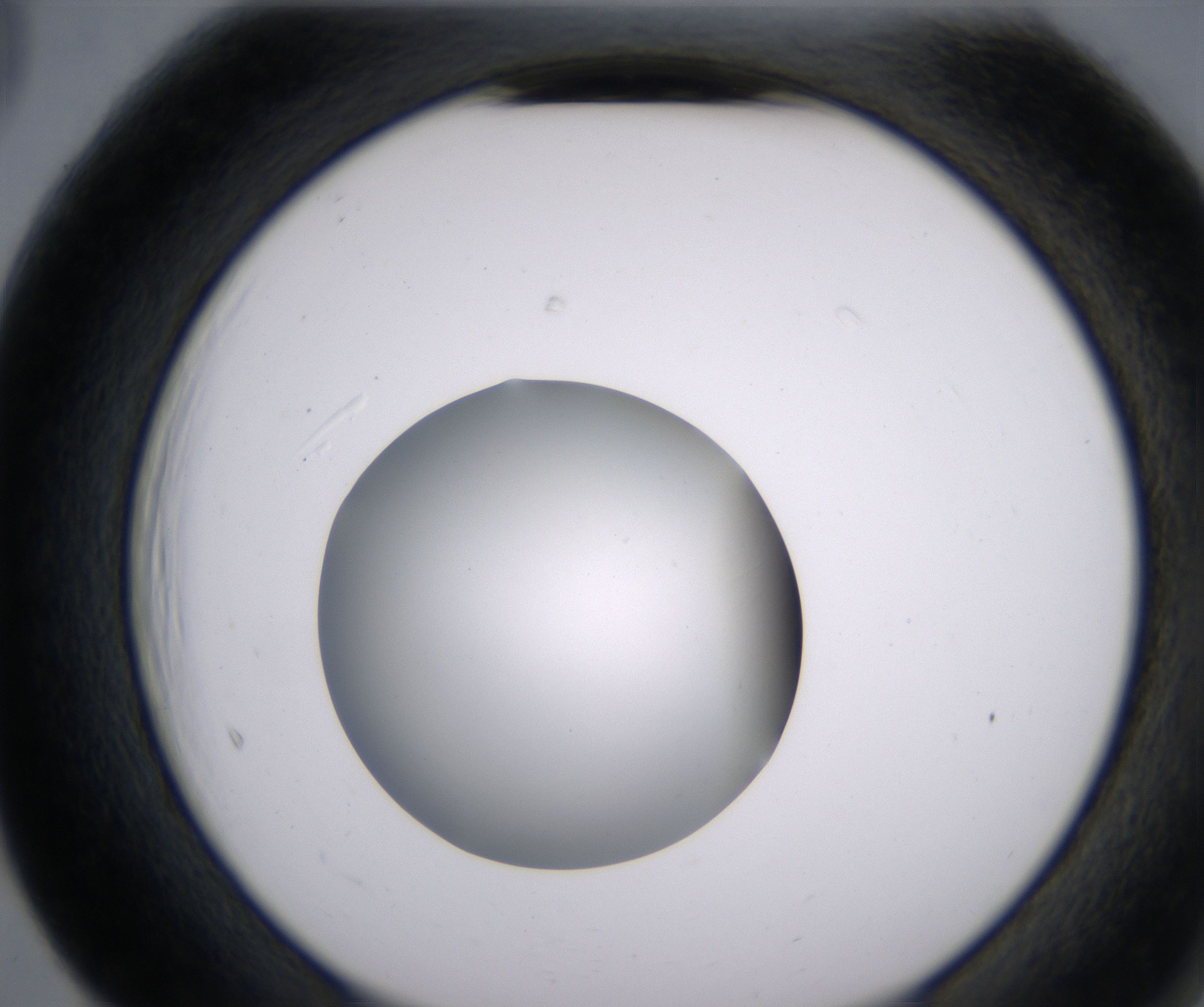 F5_HighResolution_Clear_2.jpg