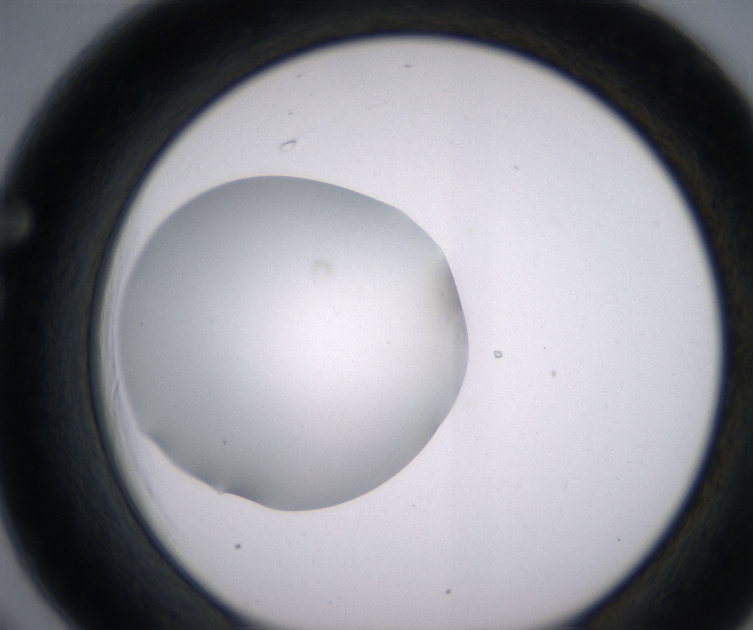 F6_HighResolution_Clear_1.jpg