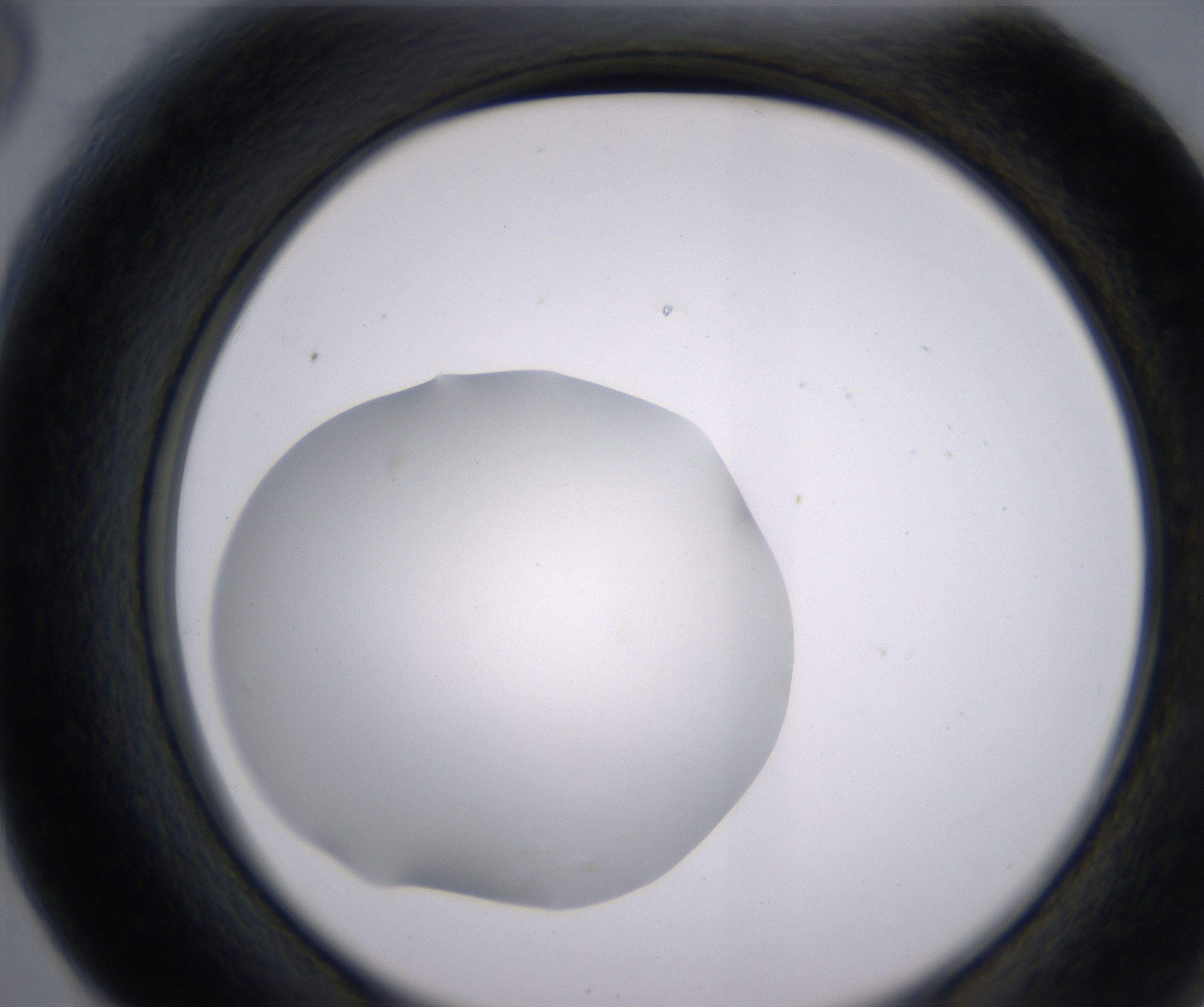 F6_HighResolution_Clear_2.jpg