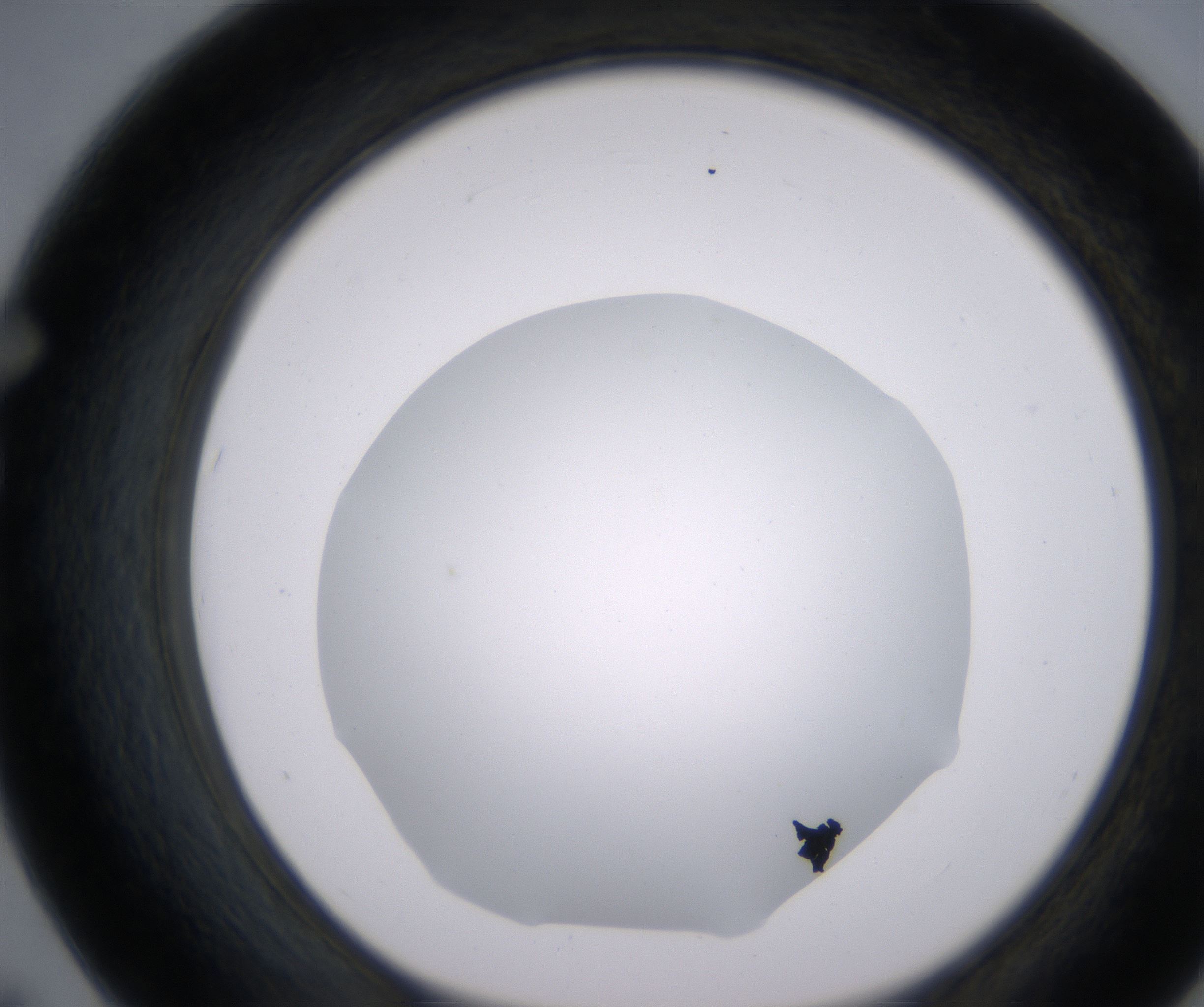 F7_HighResolution_Clear_1.jpg