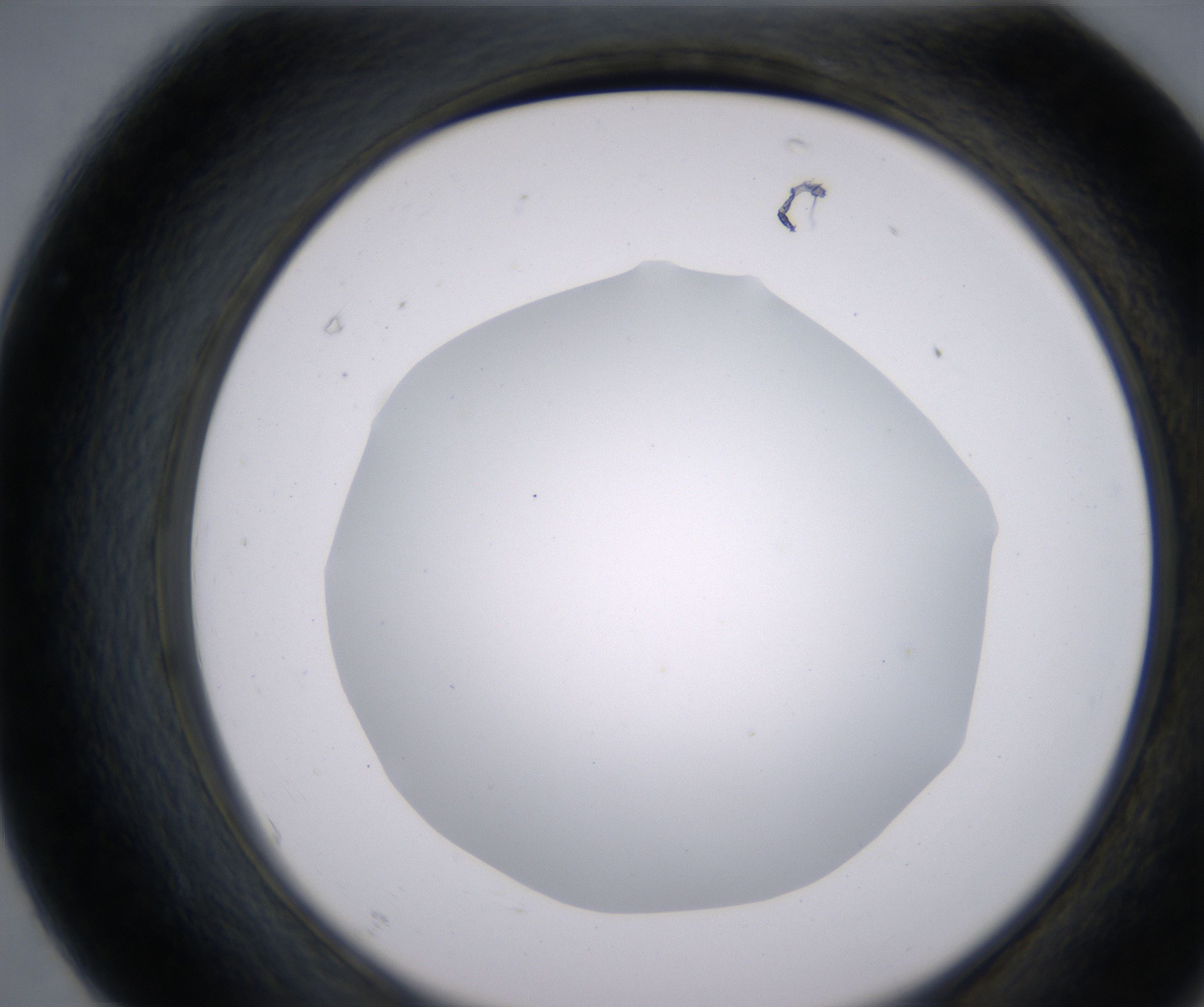 F7_HighResolution_Clear_2.jpg