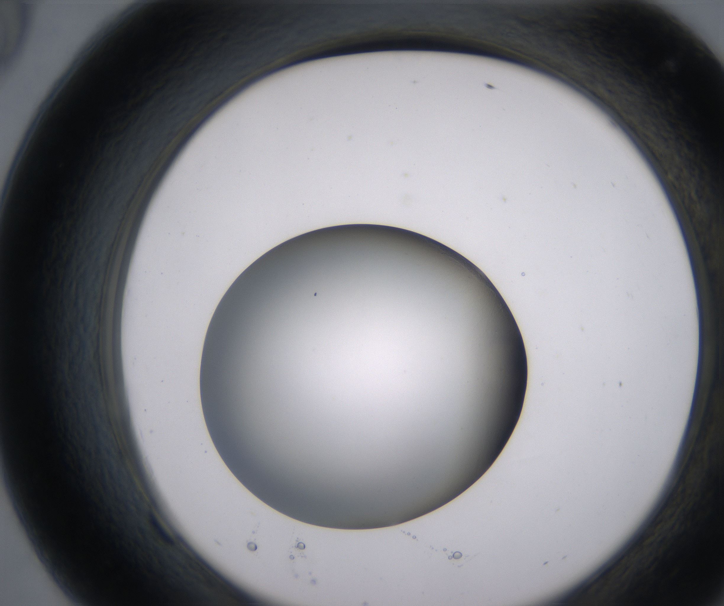 F9_HighResolution_Clear_2.jpg