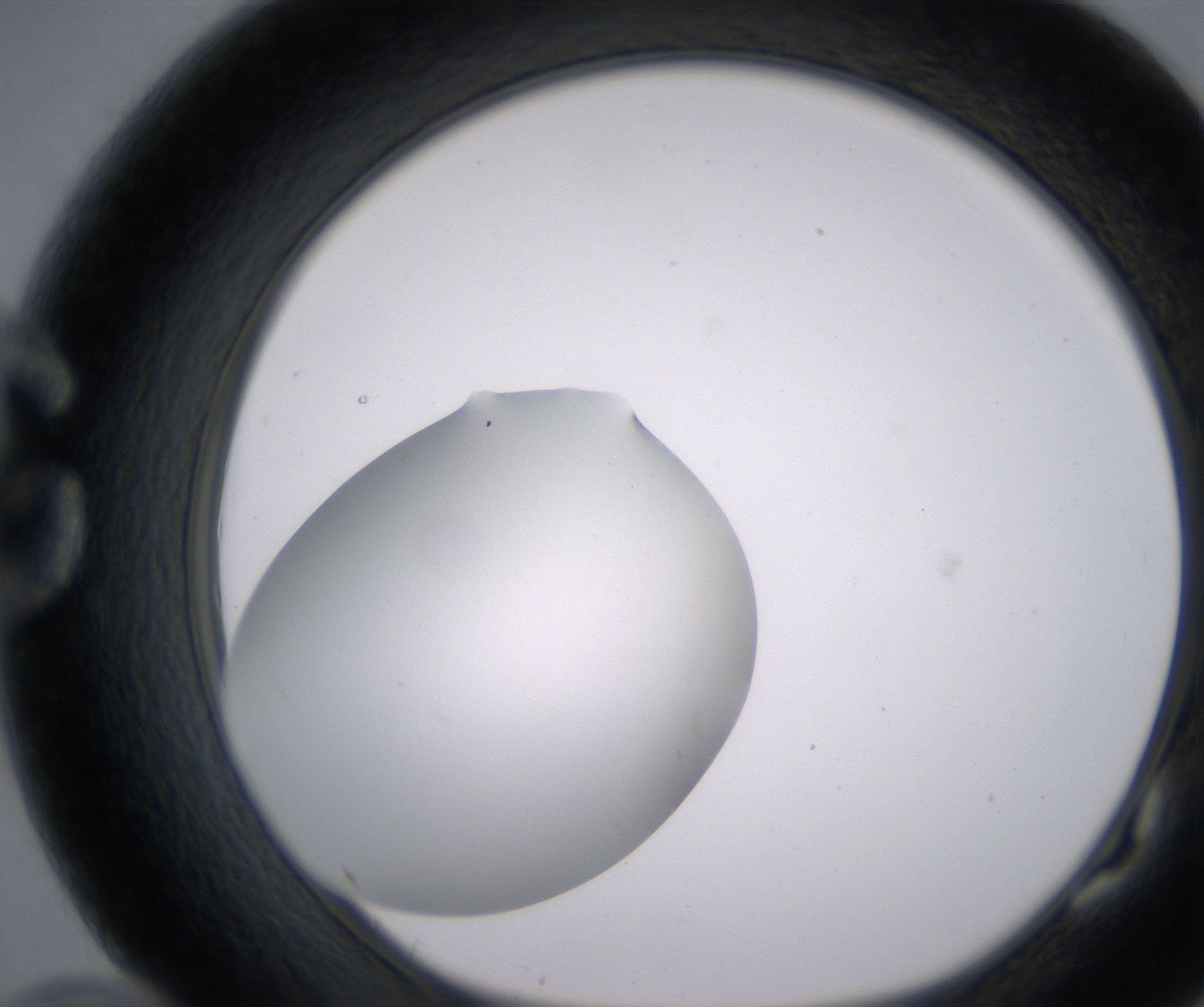 G10_HighResolution_Clear_1.jpg