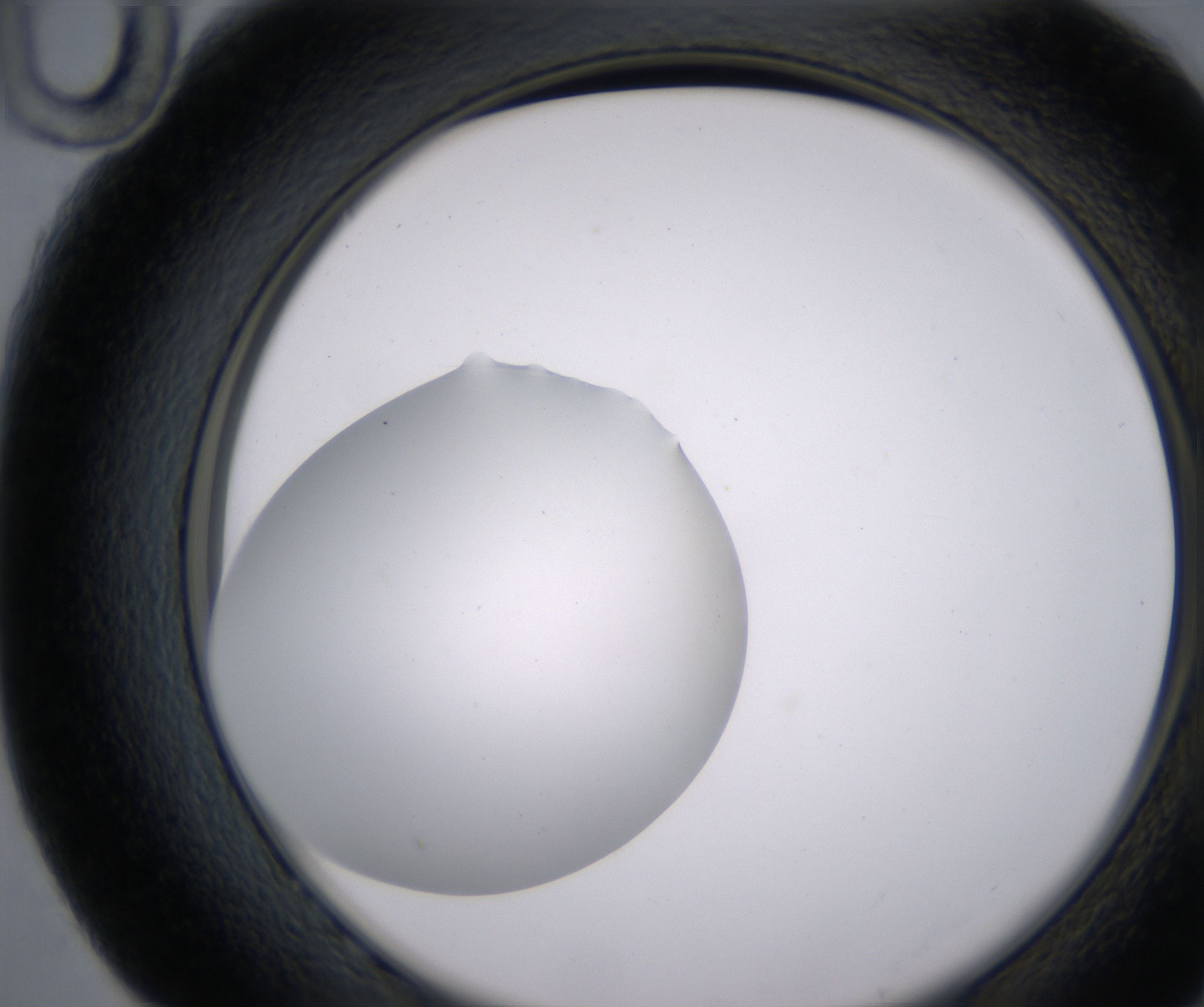 G10_HighResolution_Clear_2.jpg