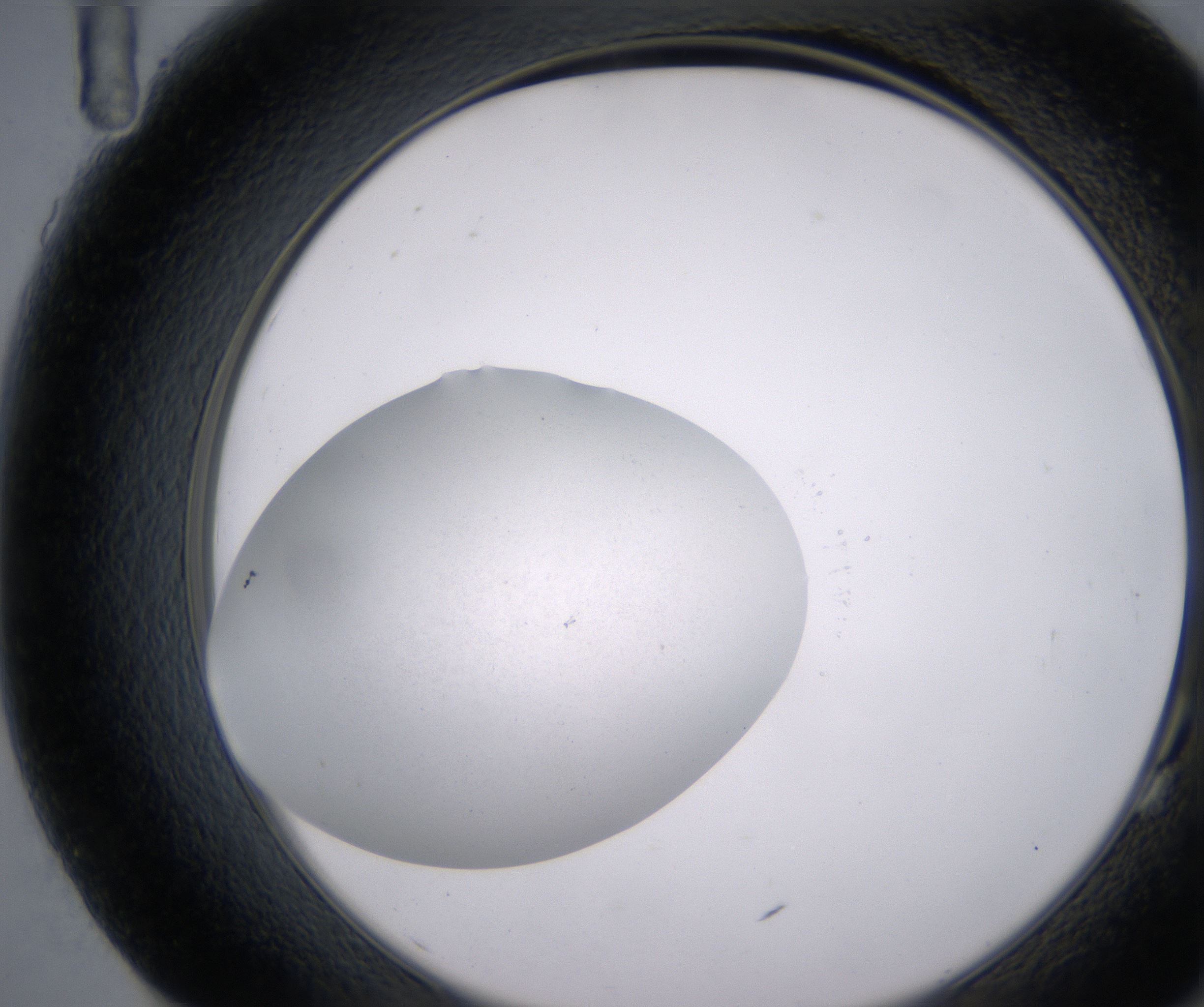 G11_HighResolution_Clear_2.jpg