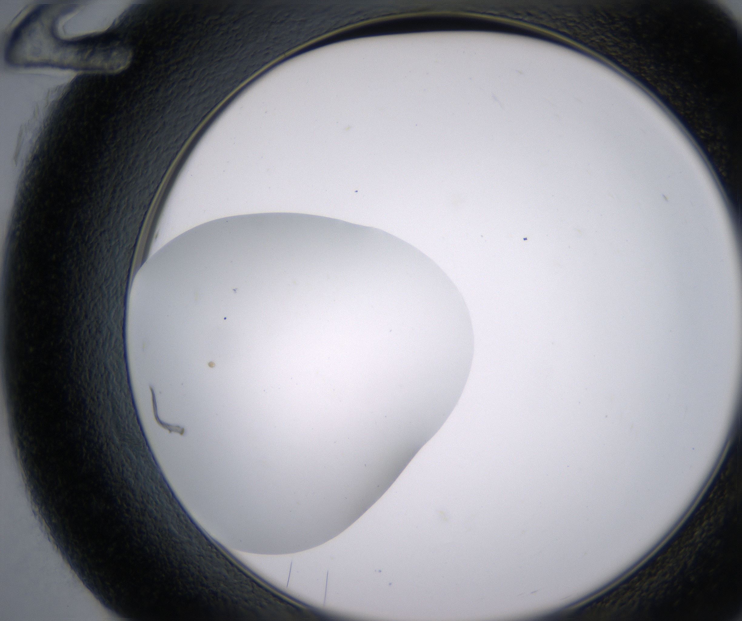 G12_HighResolution_Clear_2.jpg