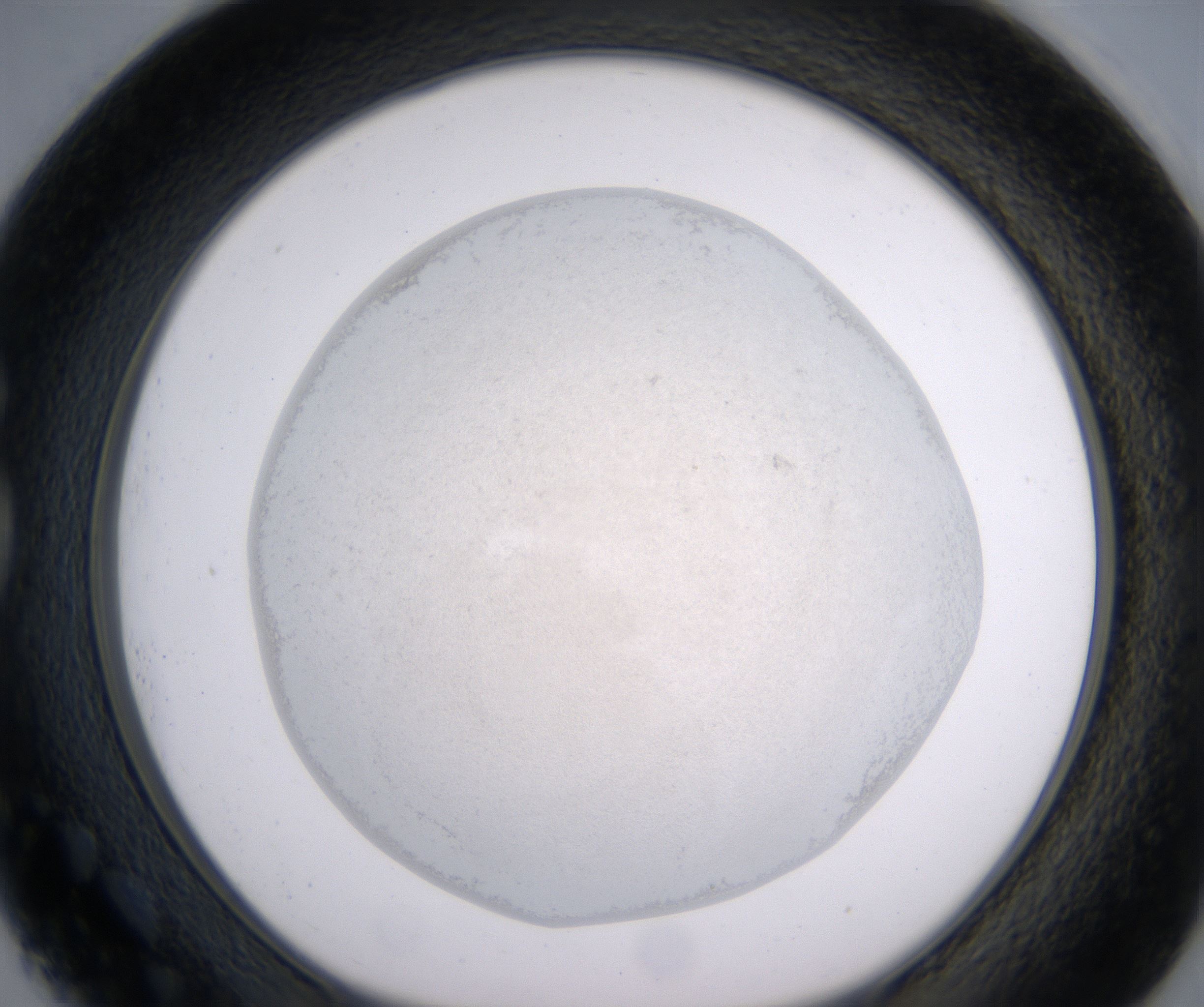 G1_HighResolution_Precipitate_1.jpg