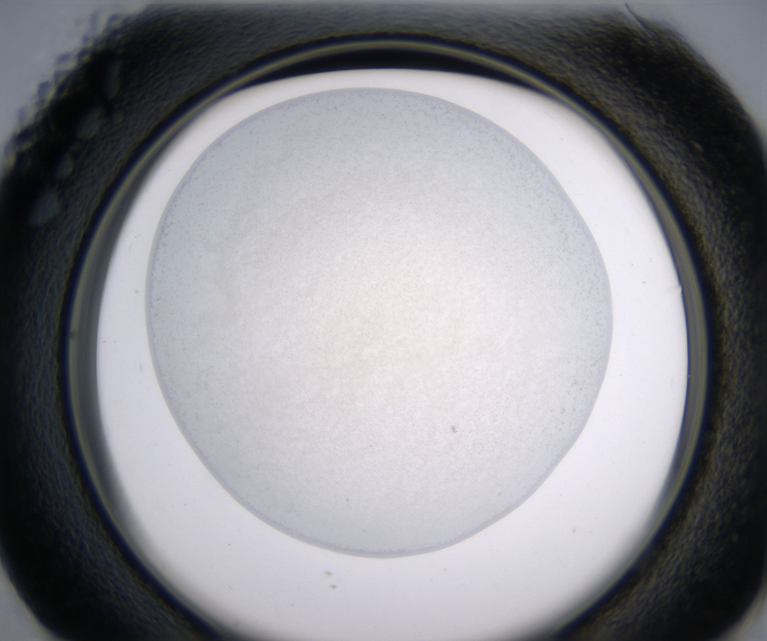 G1_HighResolution_Precipitate_2.jpg