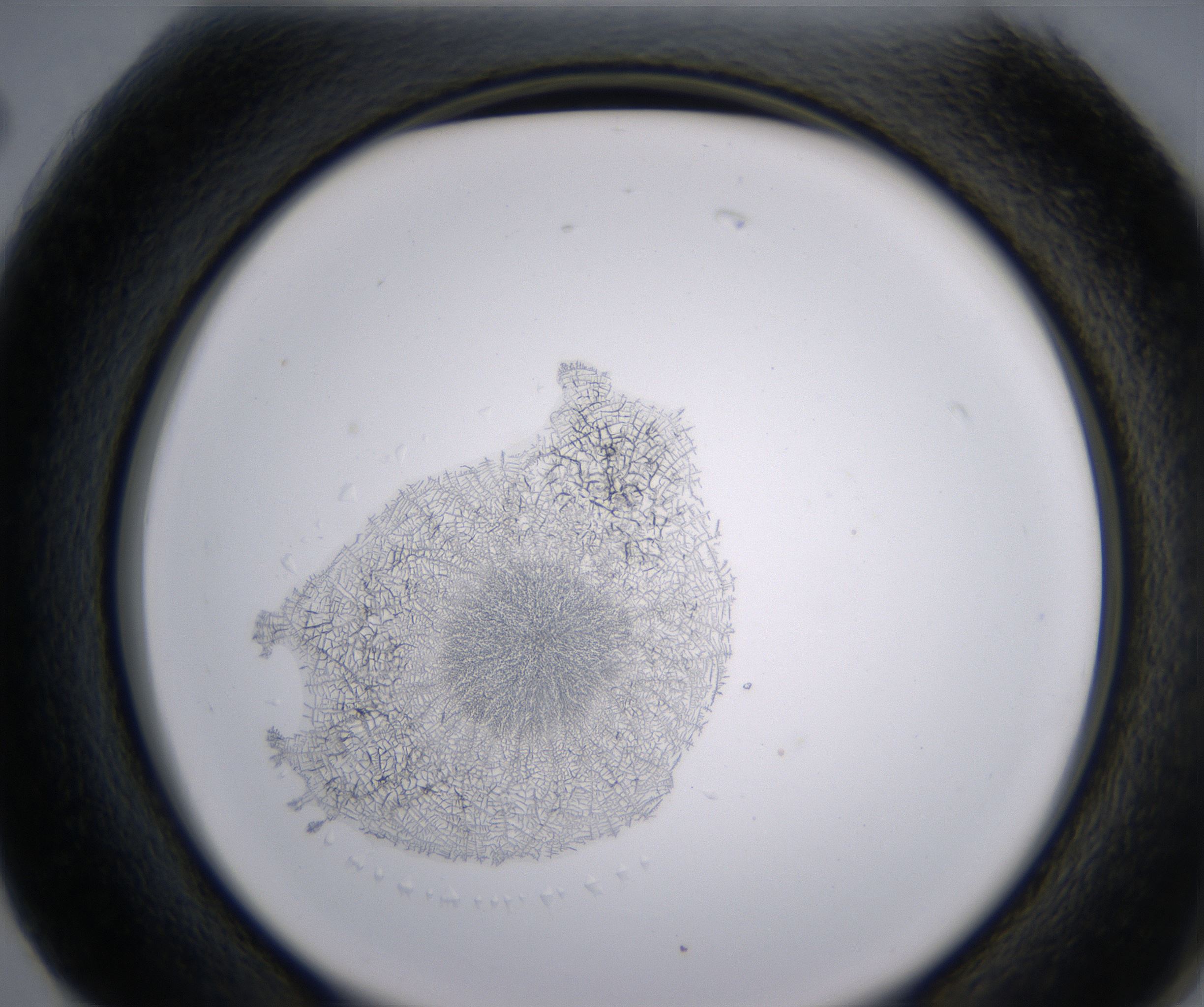G2_HighResolution_Precipitate_2.jpg