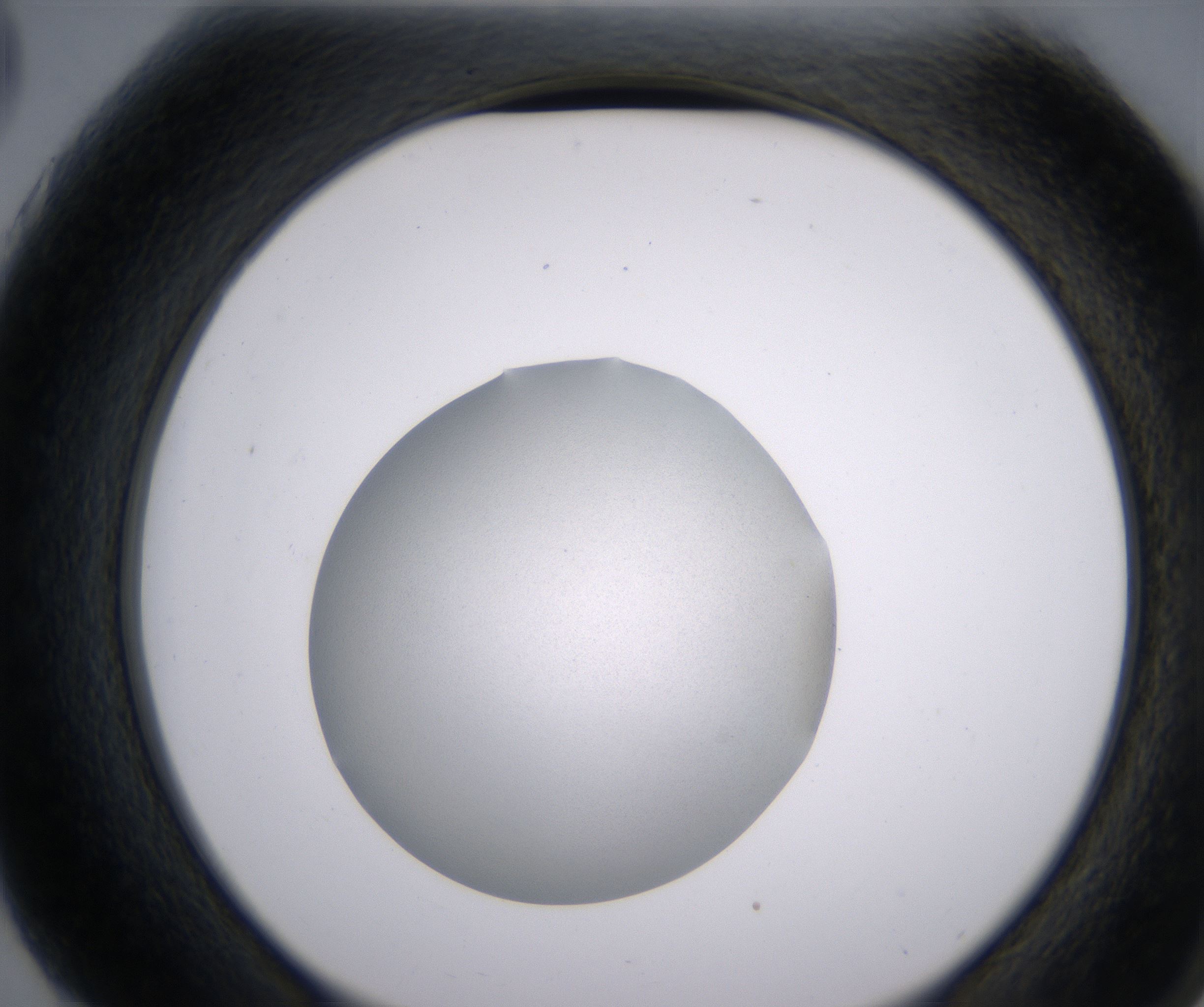 G3_HighResolution_Clear_2.jpg