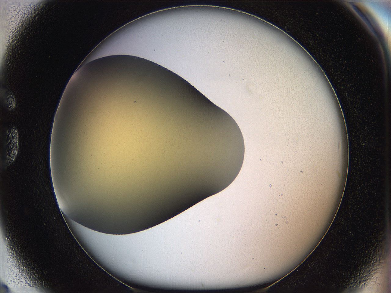 05k0_G8_ImagerDefaults_0.jpg