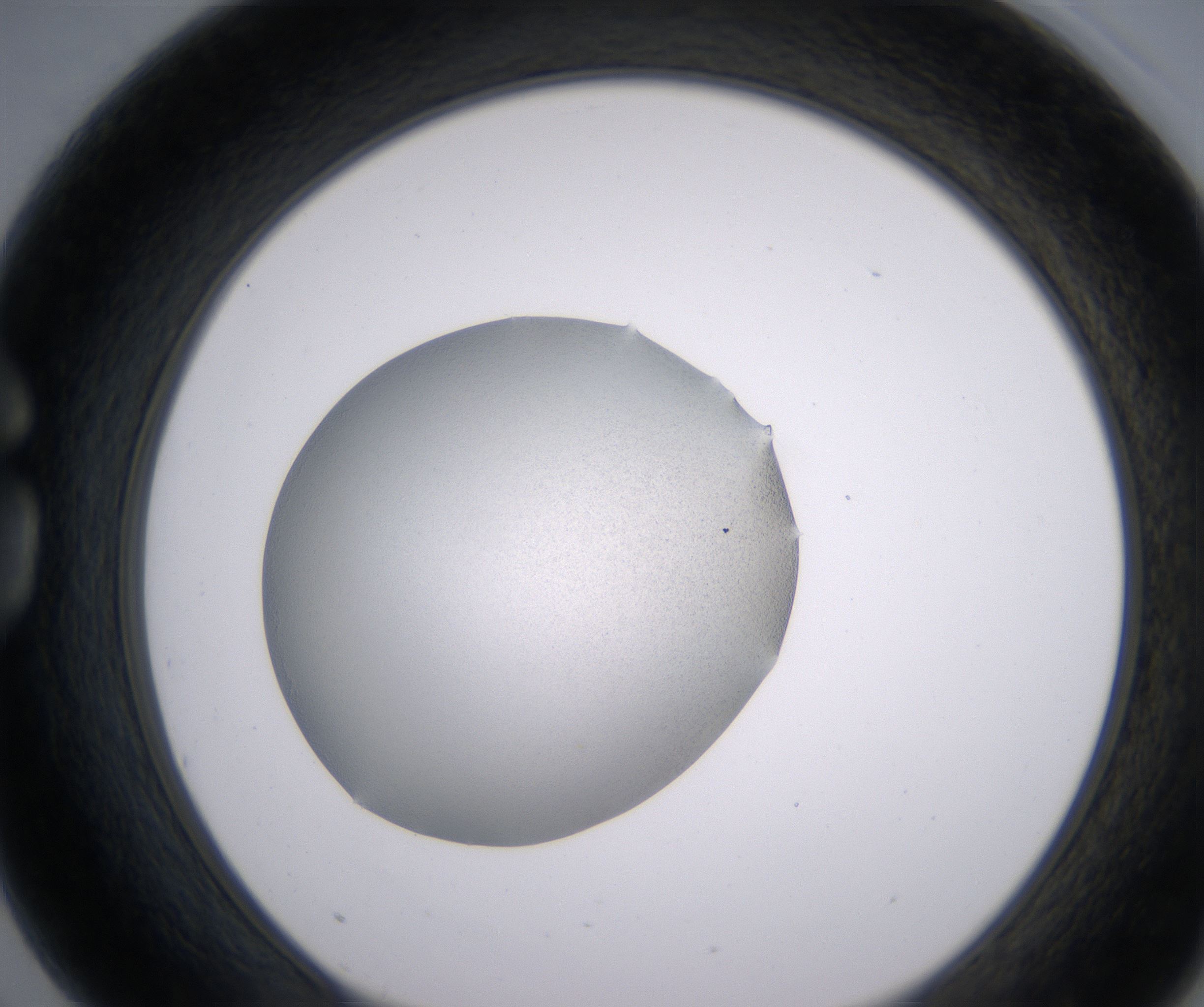 G3_HighResolution_Precipitate_1.jpg