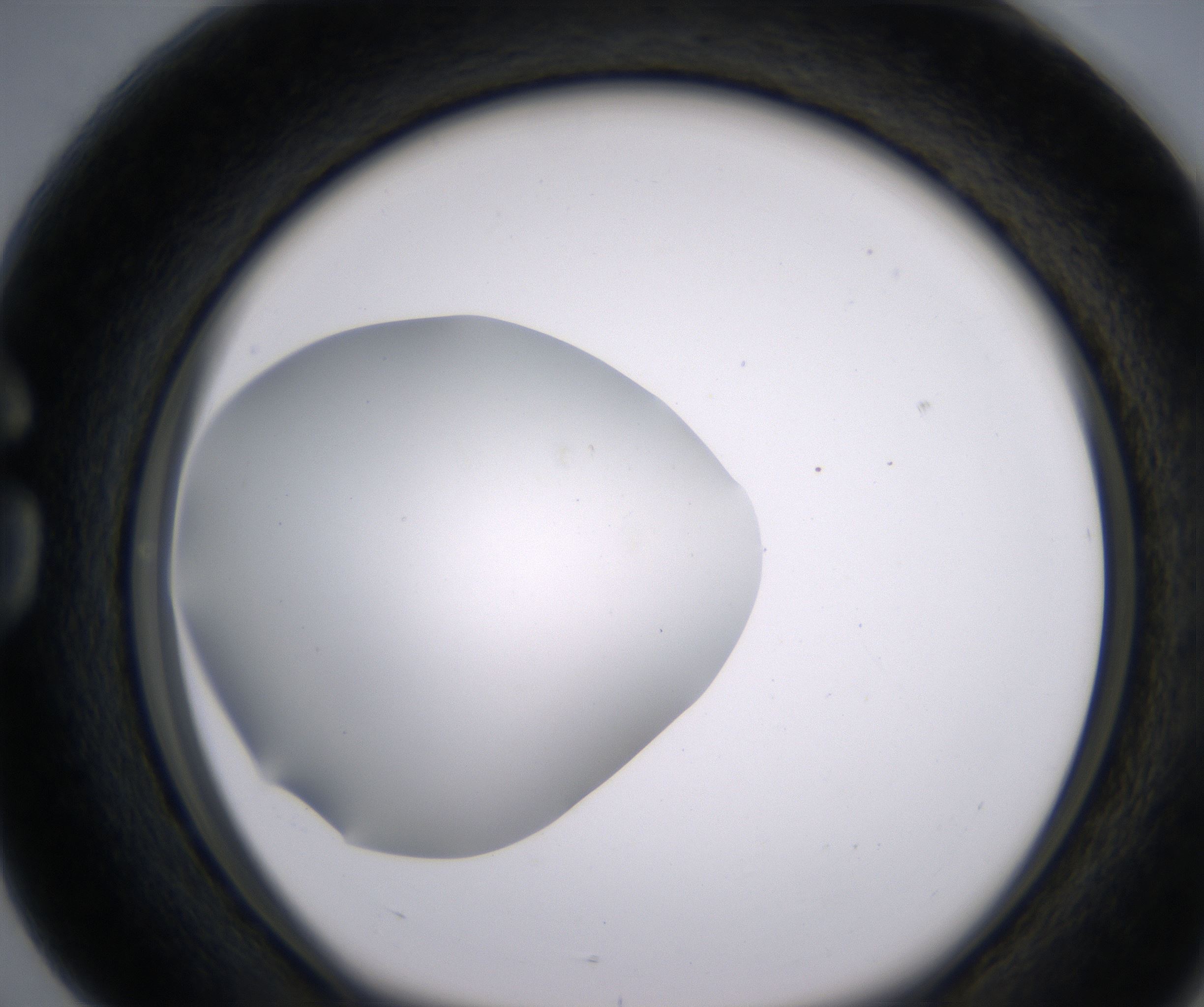 G4_HighResolution_Clear_1.jpg
