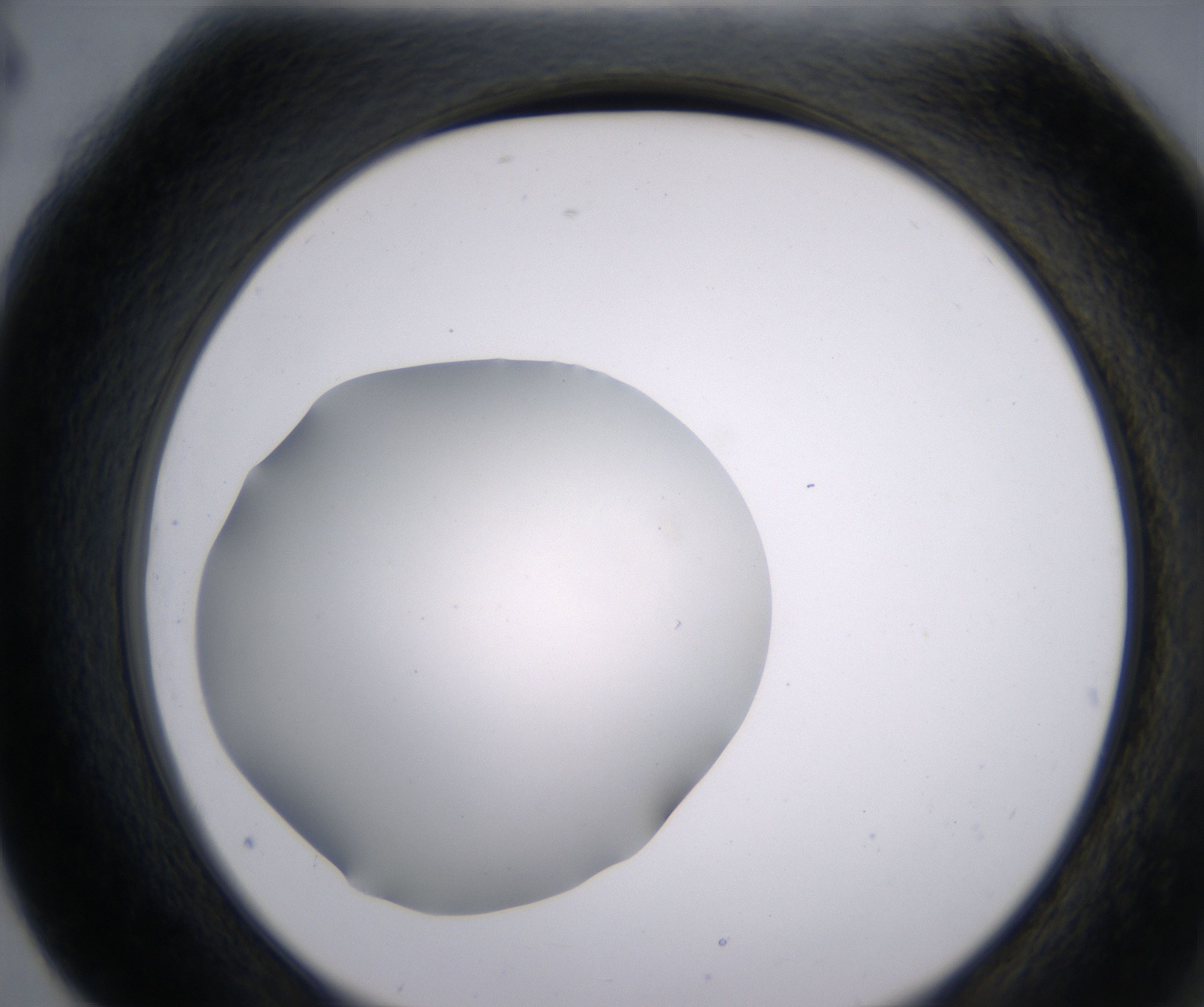 G4_HighResolution_Clear_2.jpg