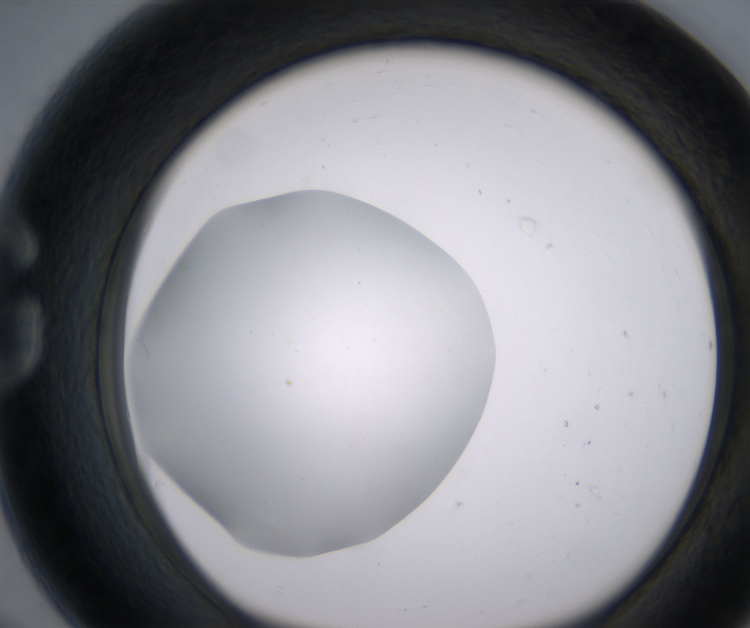 G8_HighResolution_Clear_1.jpg
