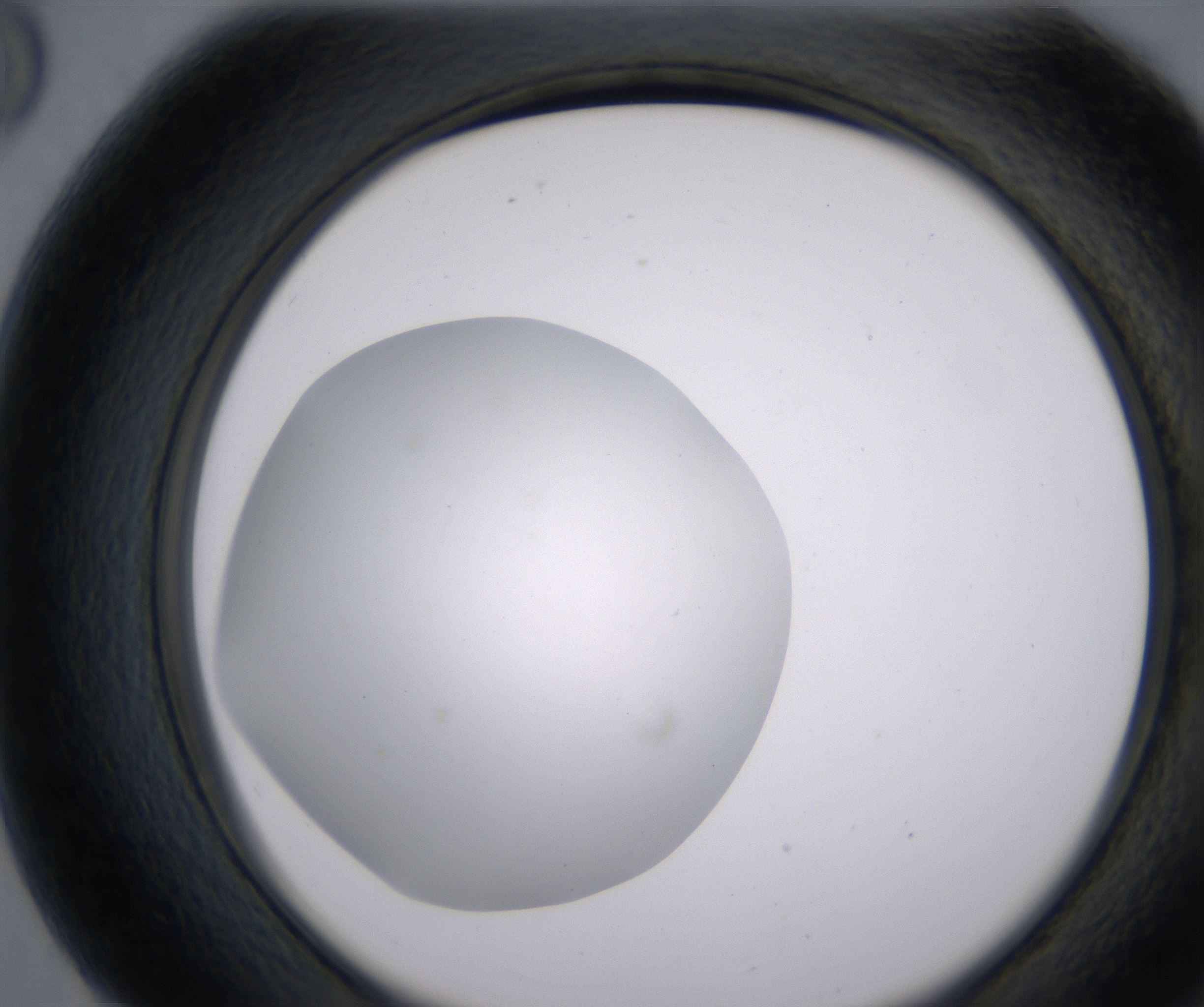 G8_HighResolution_Clear_2.jpg