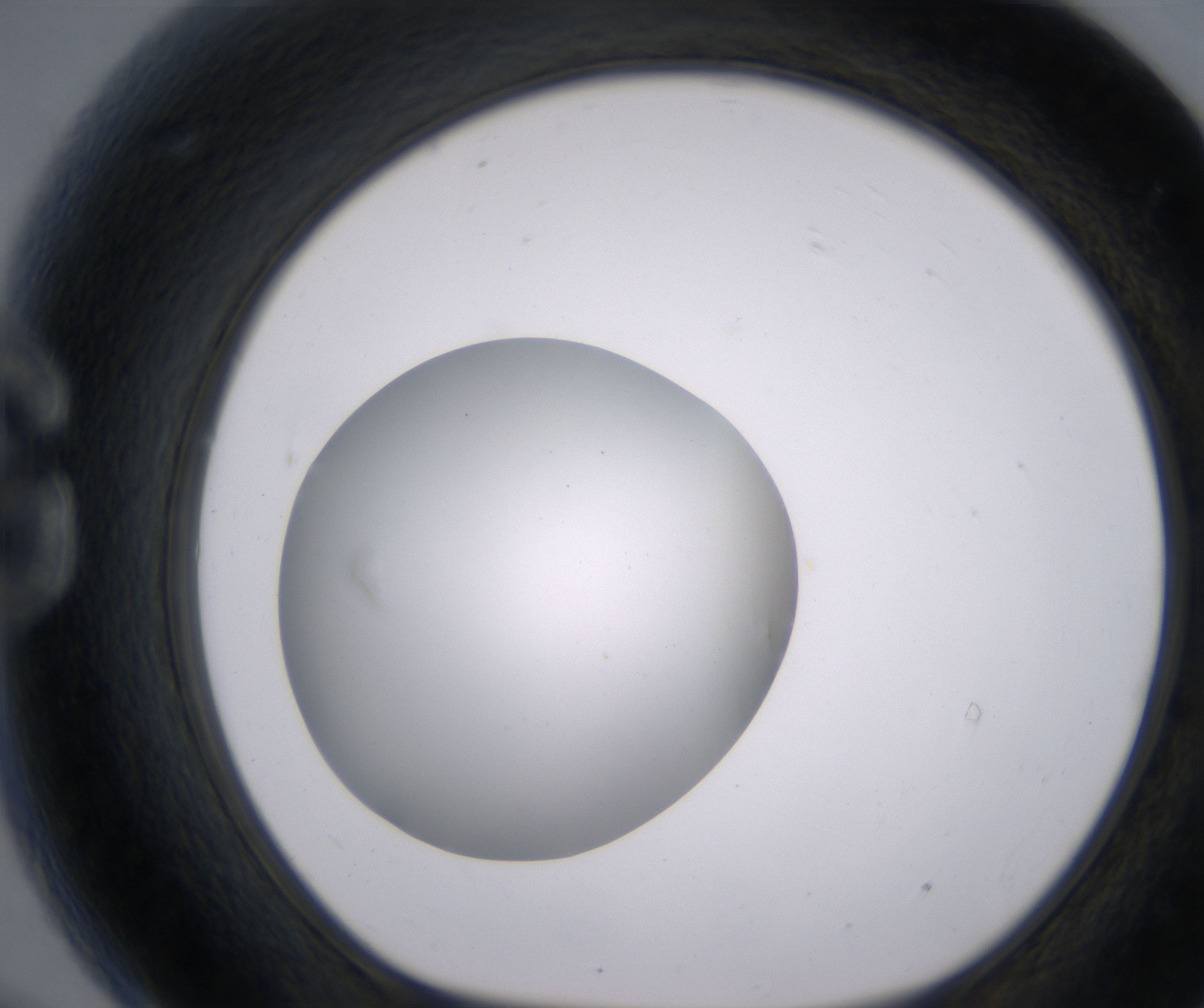 G9_HighResolution_Clear_1.jpg