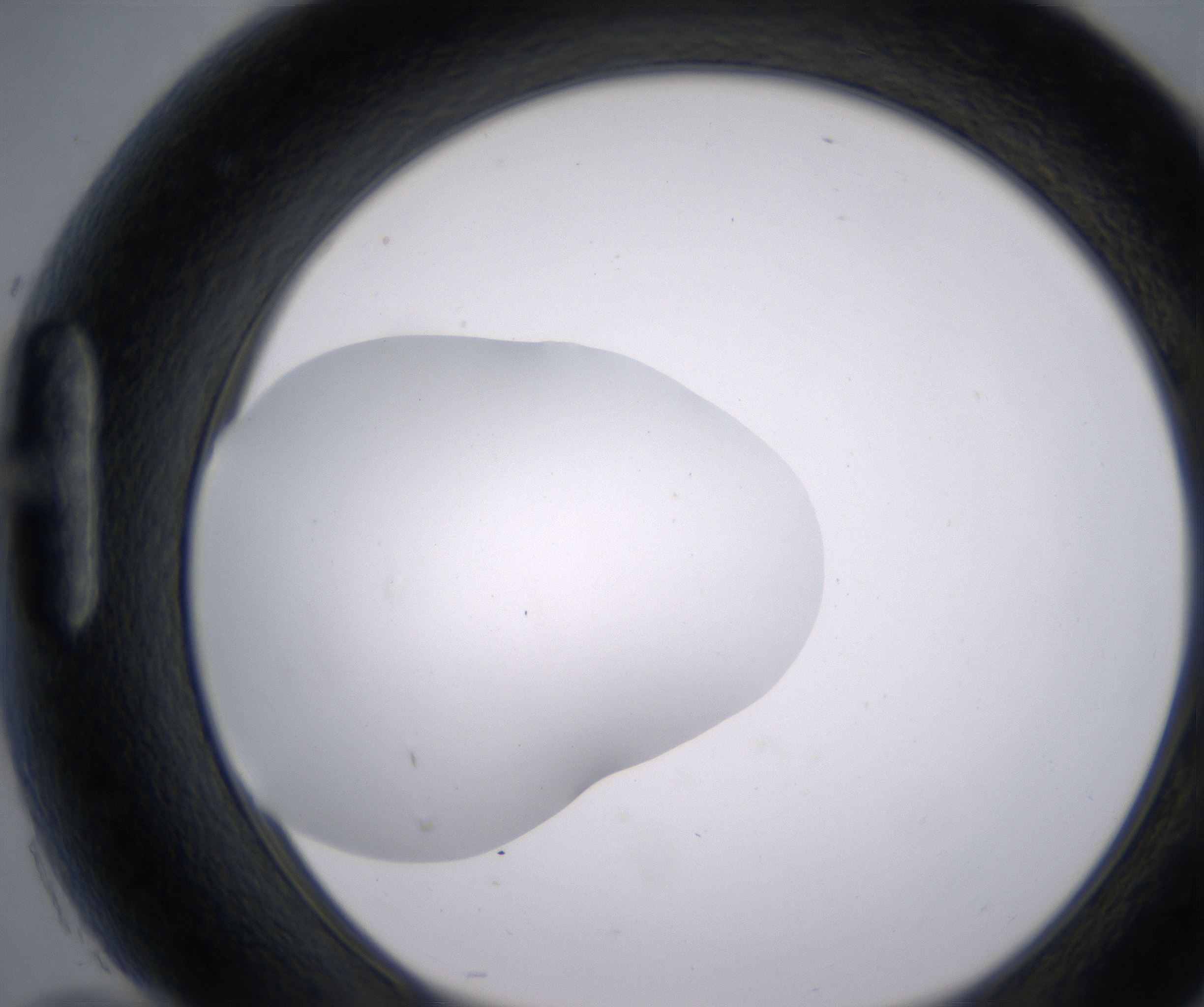 H10_HighResolution_Clear_1.jpg
