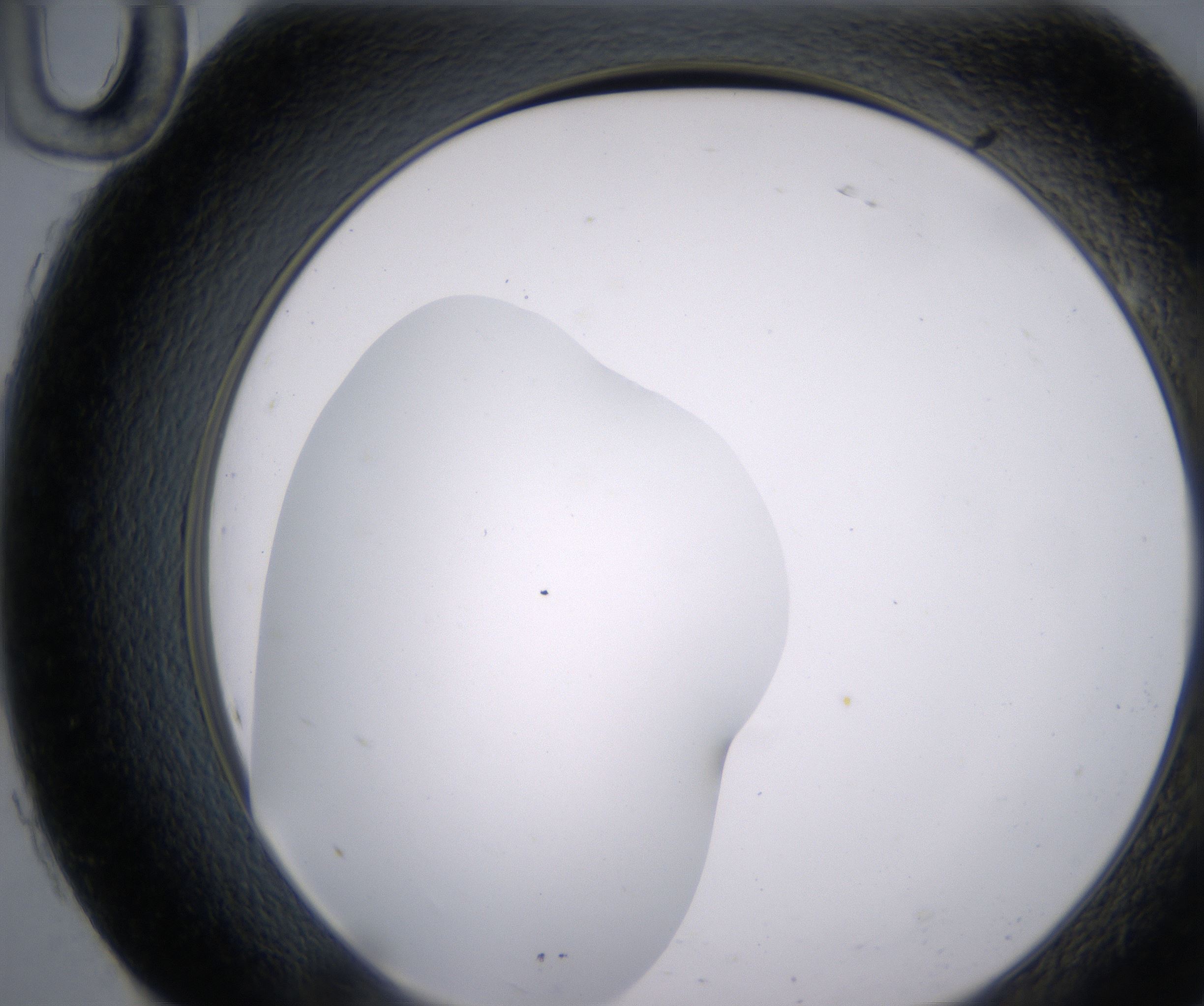 H10_HighResolution_Clear_2.jpg