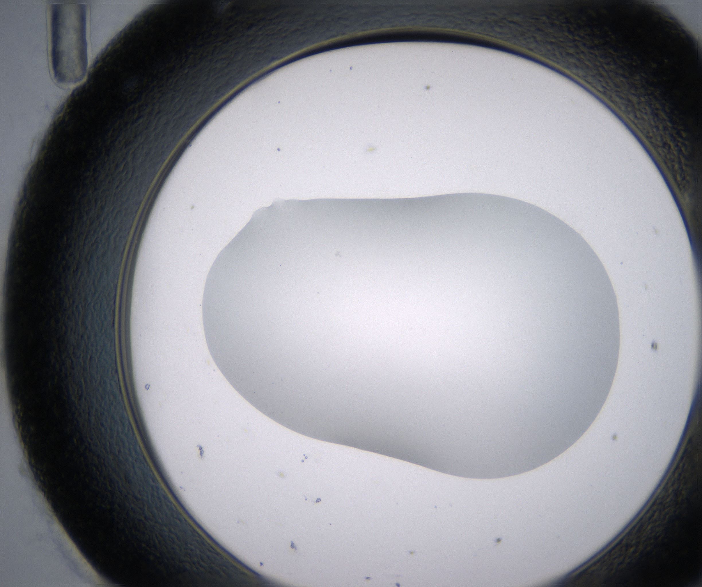 H11_HighResolution_Clear_2.jpg