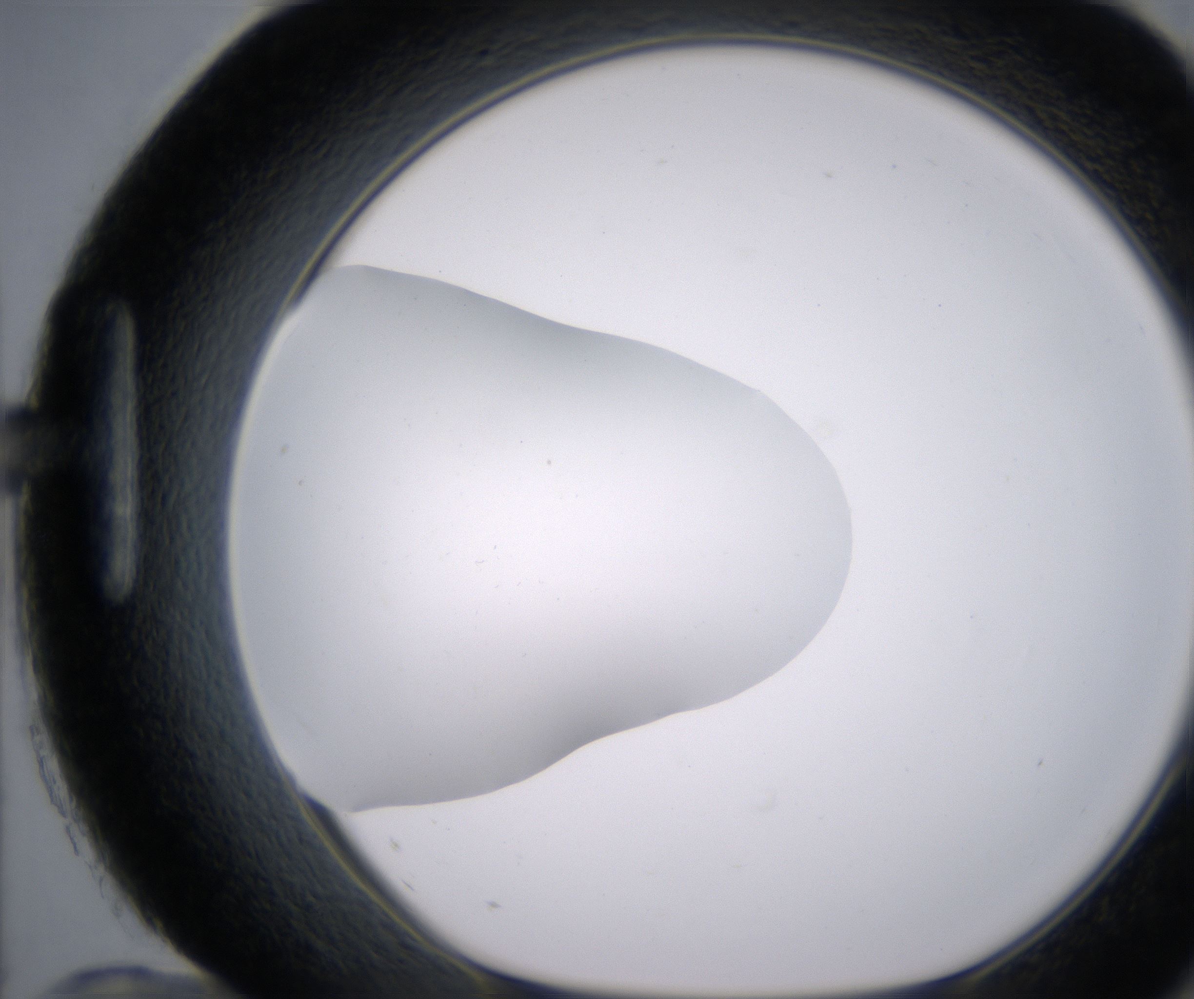 H12_HighResolution_Clear_1.jpg