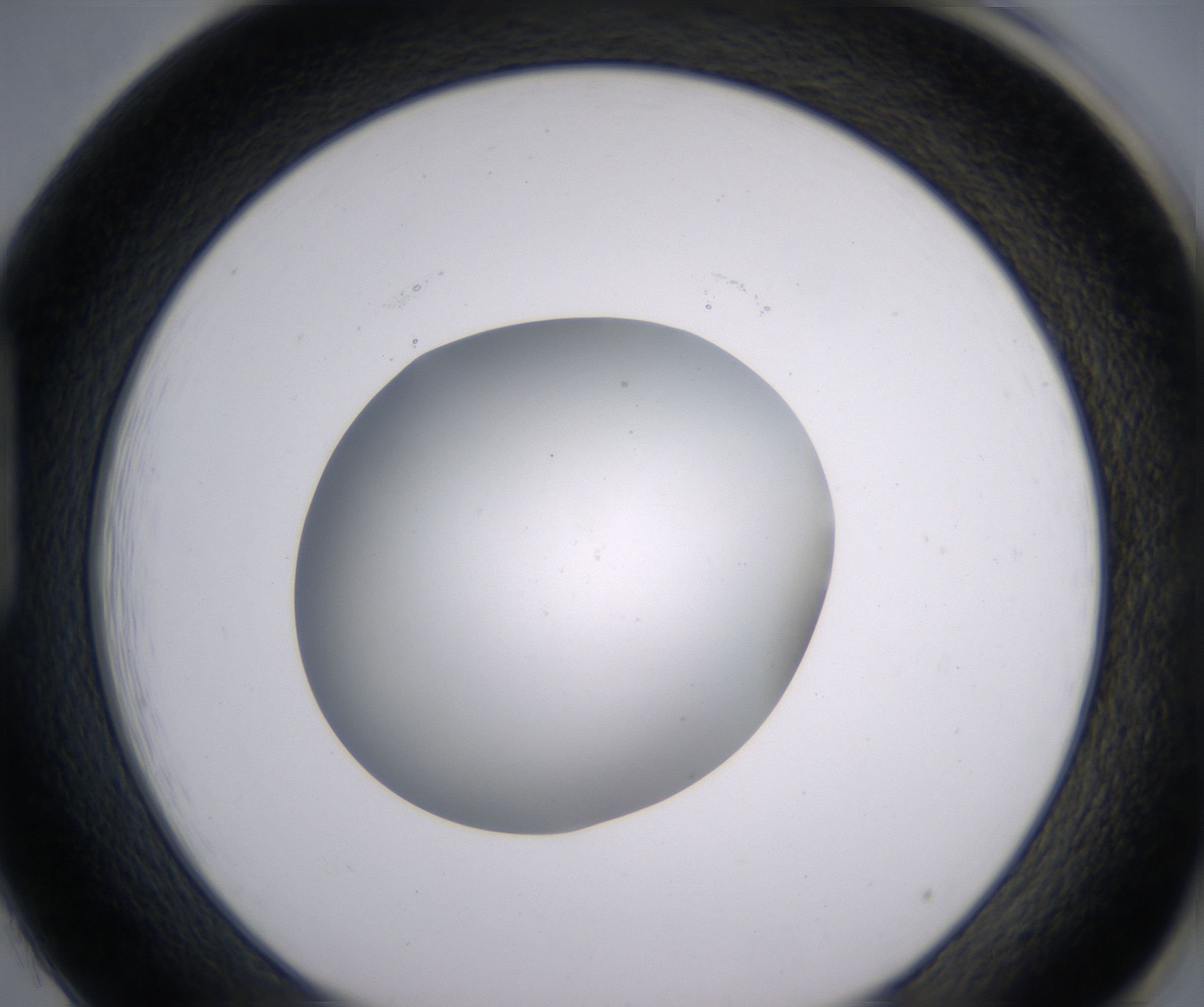 H1_HighResolution_Clear_1.jpg