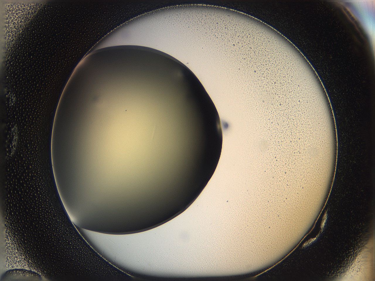 05k0_G10_ImagerDefaults_0.jpg